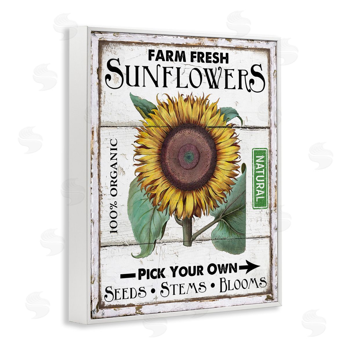 Rustic Farm Fresh Sunflowers White Frame Print Wall Art, Home Decor by Creatif Belle
