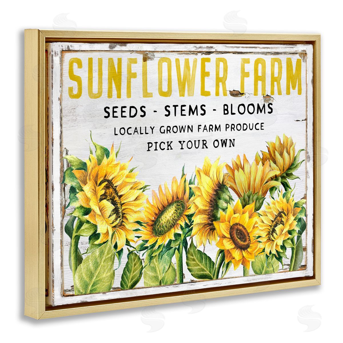 Antique Sunflower Seeds Gold Floating Frame Canvas Wall Art, Home Decor by Creatif Belle