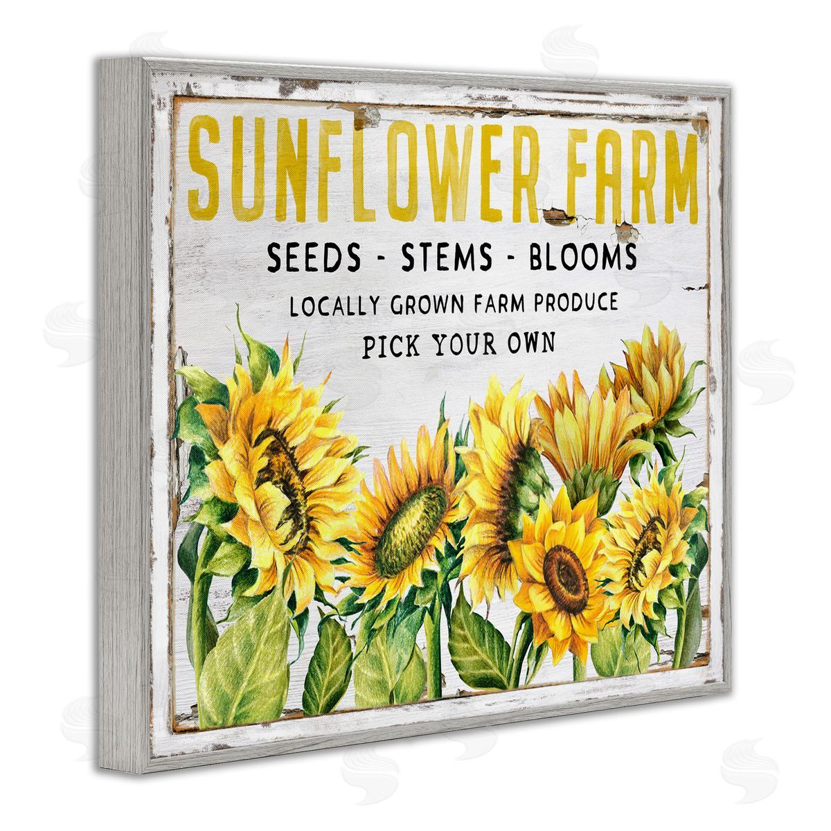 Antique Sunflower Seeds Grey Frame Print Wall Art, Home Decor by Creatif Belle