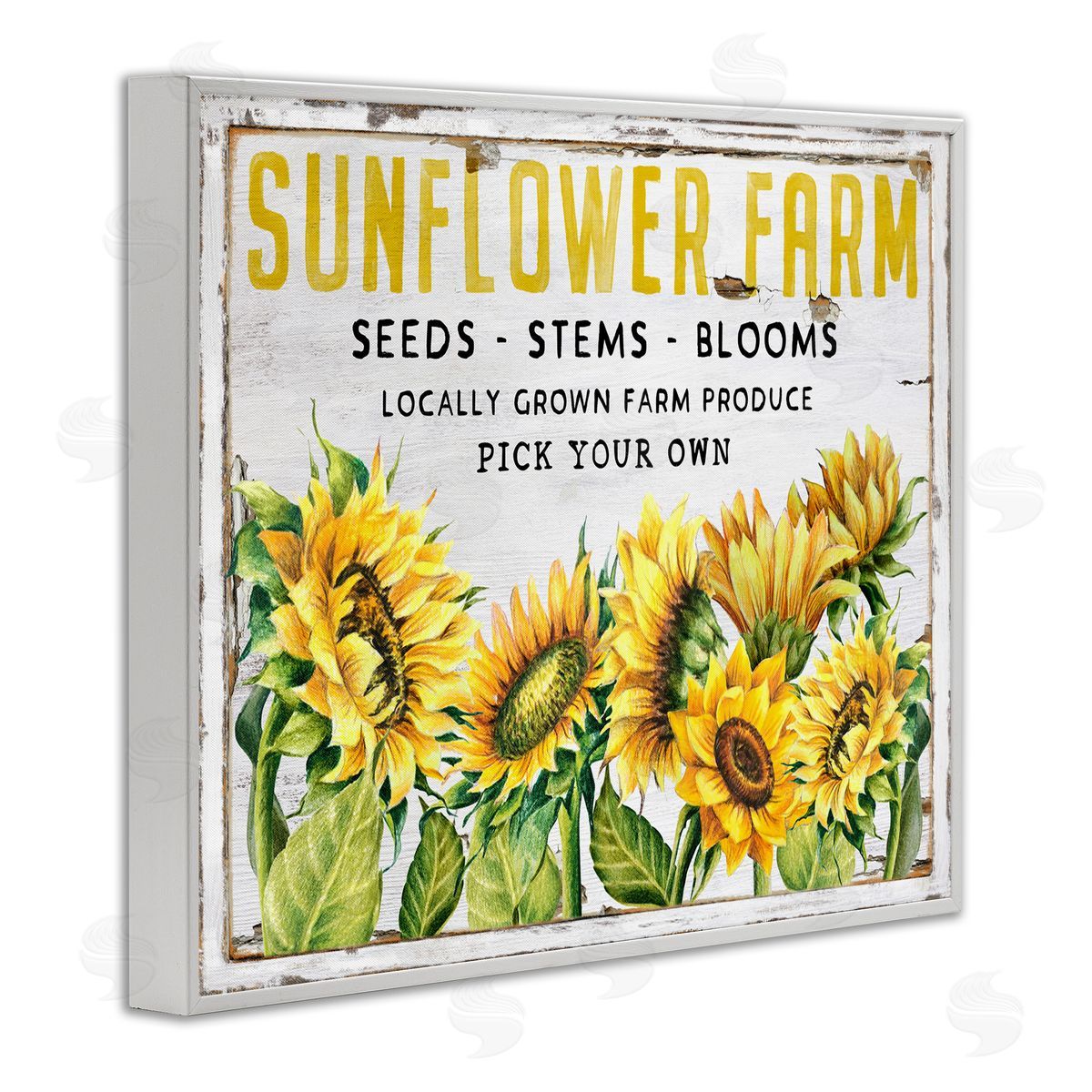 Antique Sunflower Seeds White Frame Print Wall Art, Home Decor by Creatif Belle