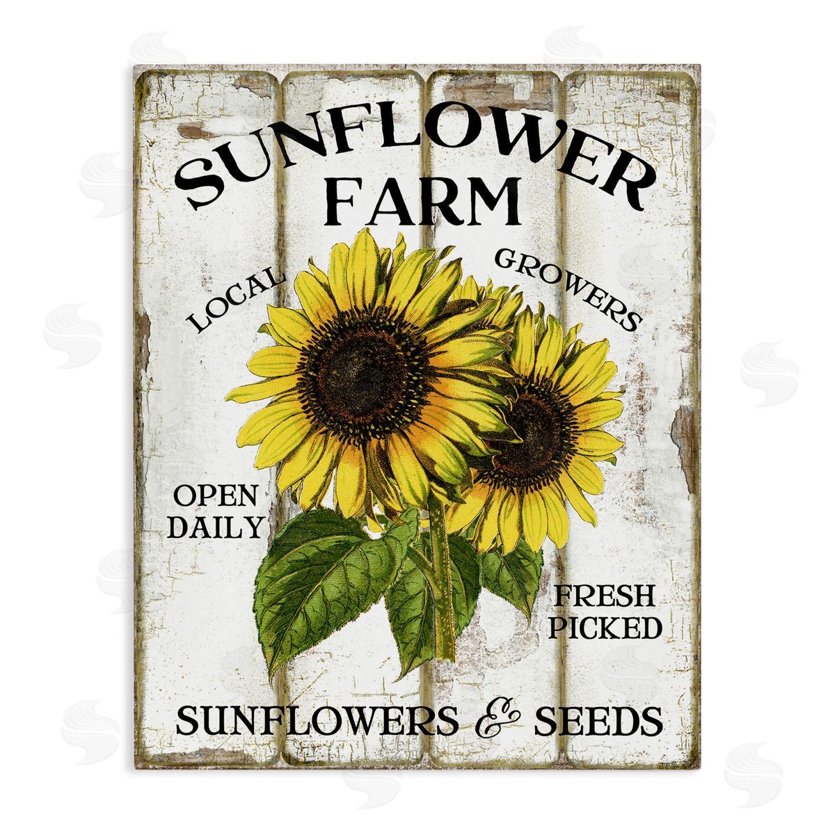 Antique Sunflower Farm Seeds Canvas Wall Art, Home Decor by Creatif Belle