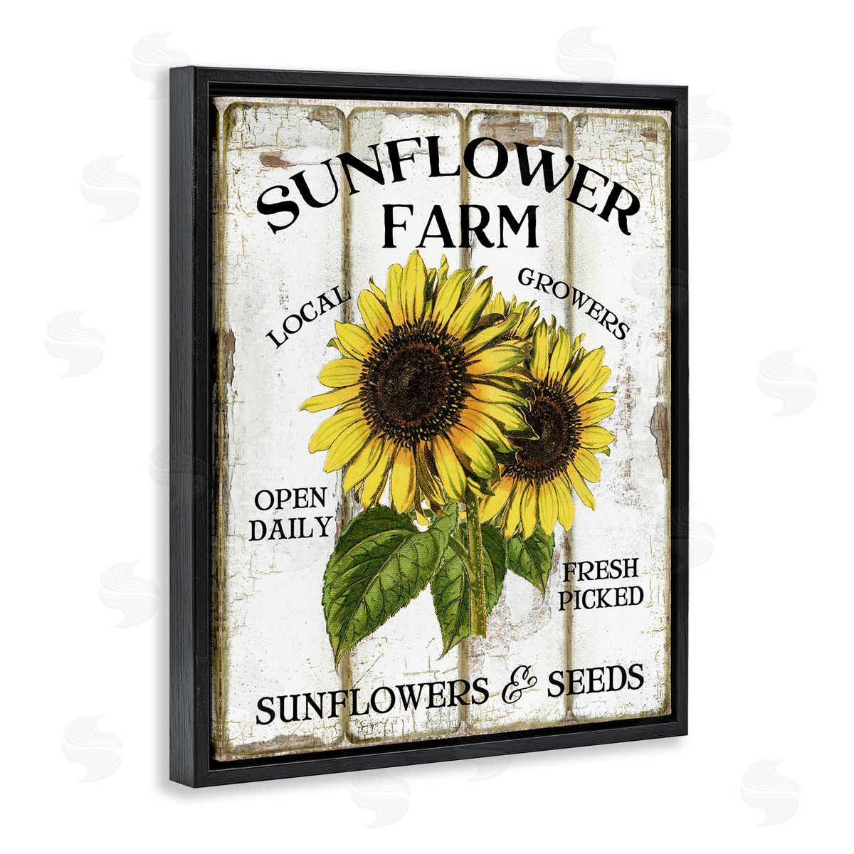 Antique Sunflower Farm Seeds Black Floating Frame Canvas Wall Art, Home Decor by Creatif Belle