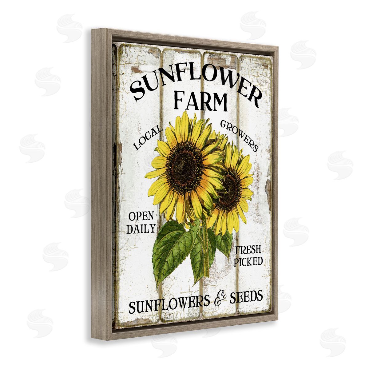 Antique Sunflower Farm Seeds Brown Floating Frame Canvas Wall Art, Home Decor by Creatif Belle