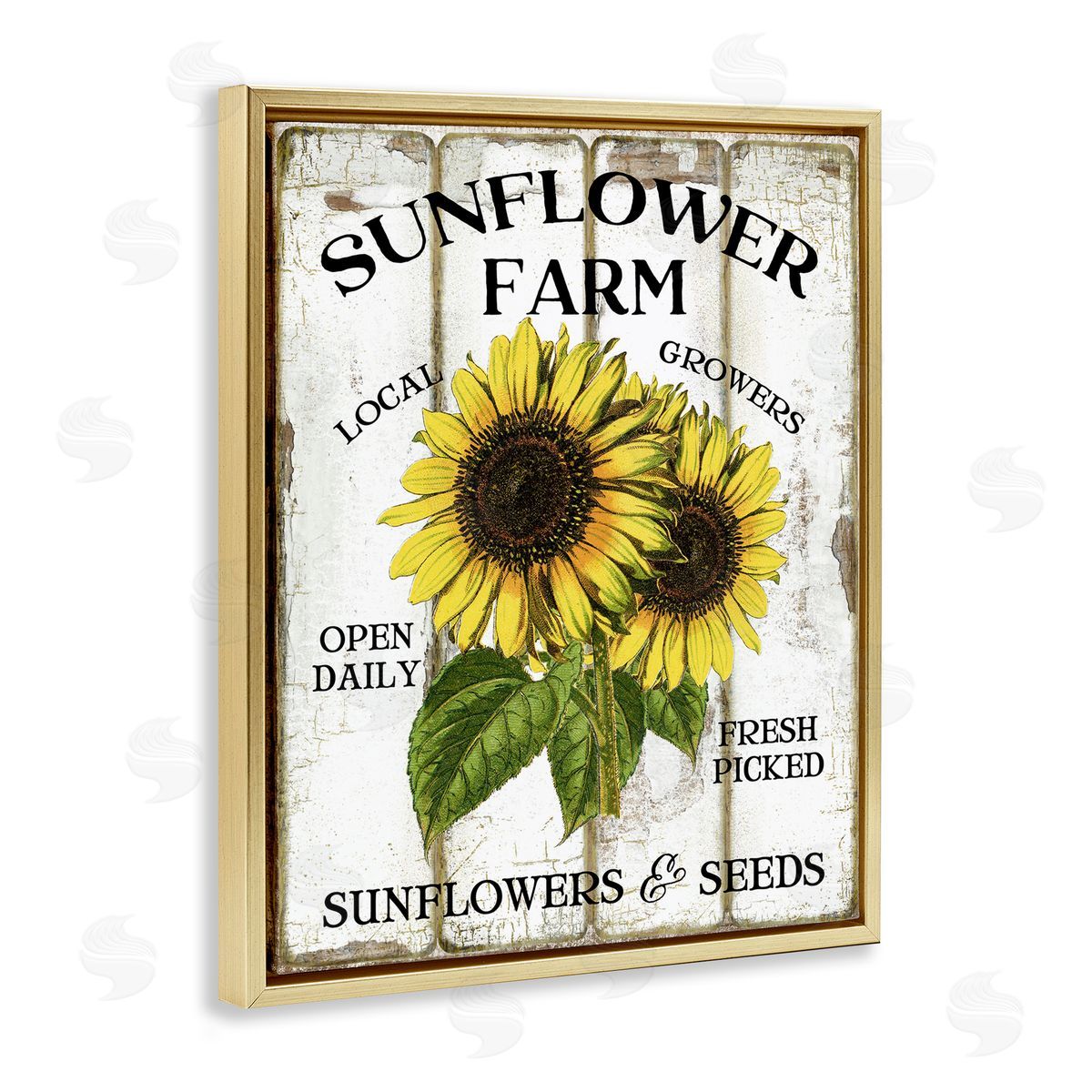 Antique Sunflower Farm Seeds Gold Floating Frame Canvas Wall Art, Home Decor by Creatif Belle