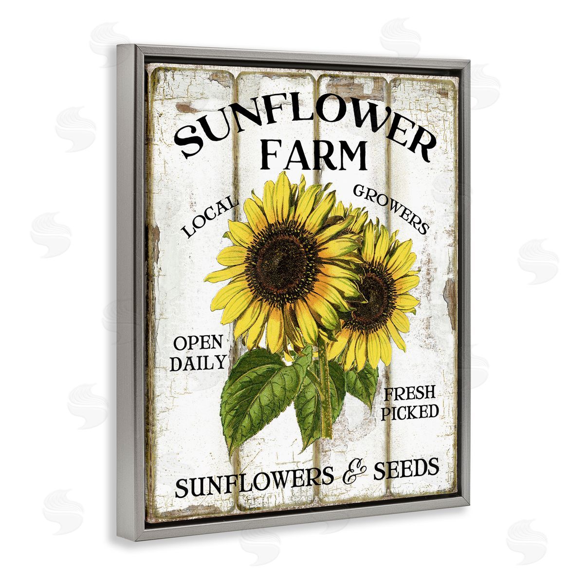 Antique Sunflower Farm Seeds Grey Floating Frame Canvas Wall Art, Home Decor by Creatif Belle