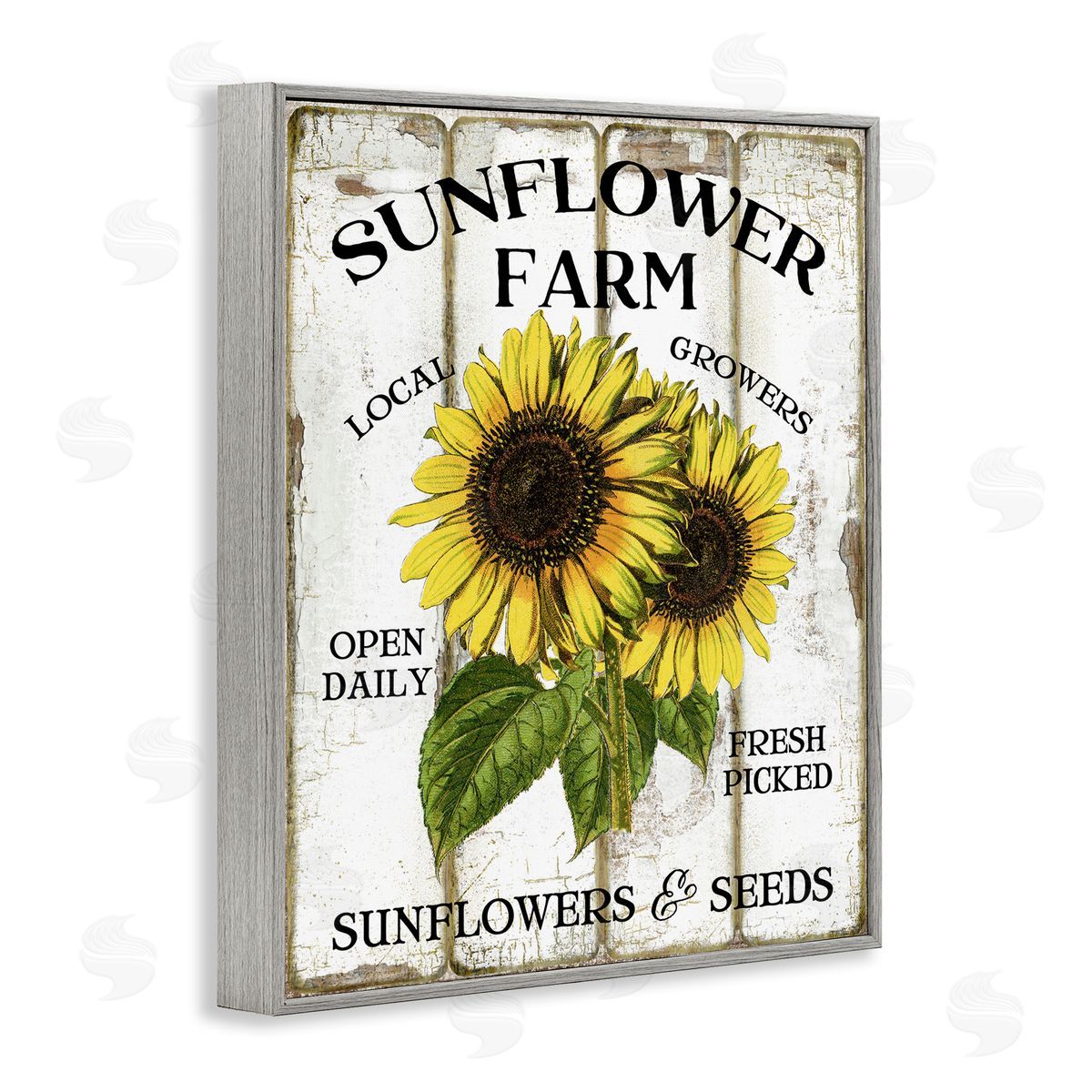 Antique Sunflower Farm Seeds Grey Frame Print Wall Art, Home Decor by Creatif Belle