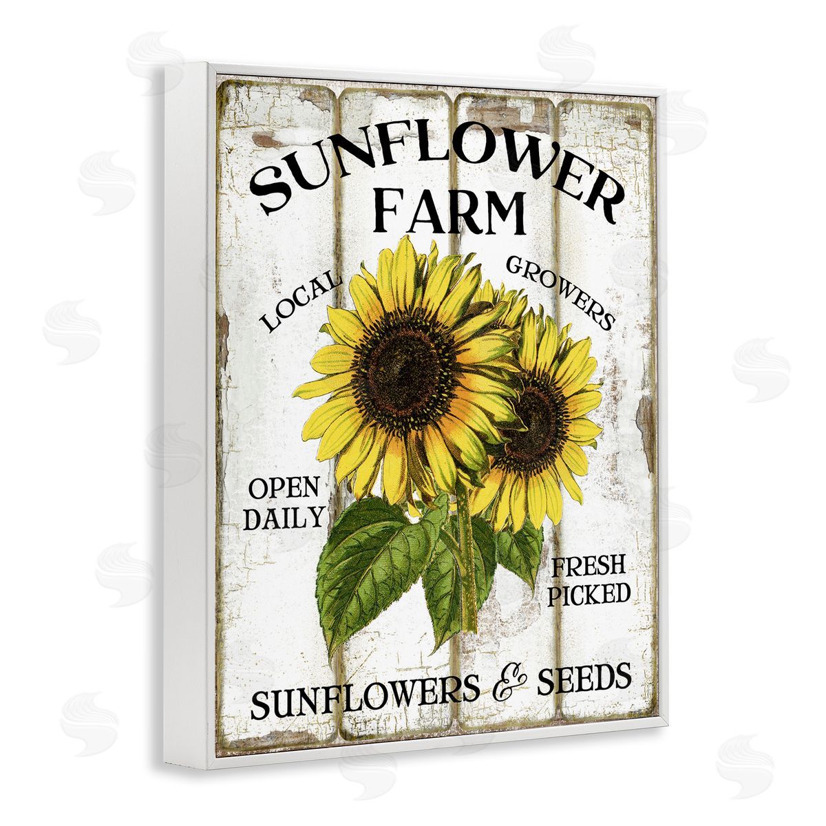 Antique Sunflower Farm Seeds White Frame Print Wall Art, Home Decor by Creatif Belle