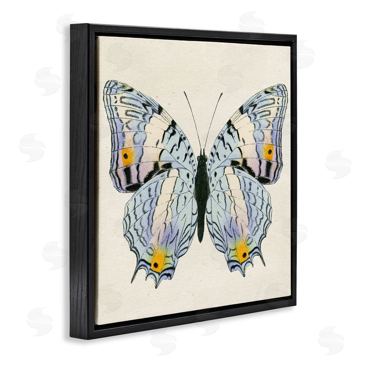 Butterfly with Yellow Details Black Floating Frame Canvas Wall Art, Home Decor by Susan Arnot
