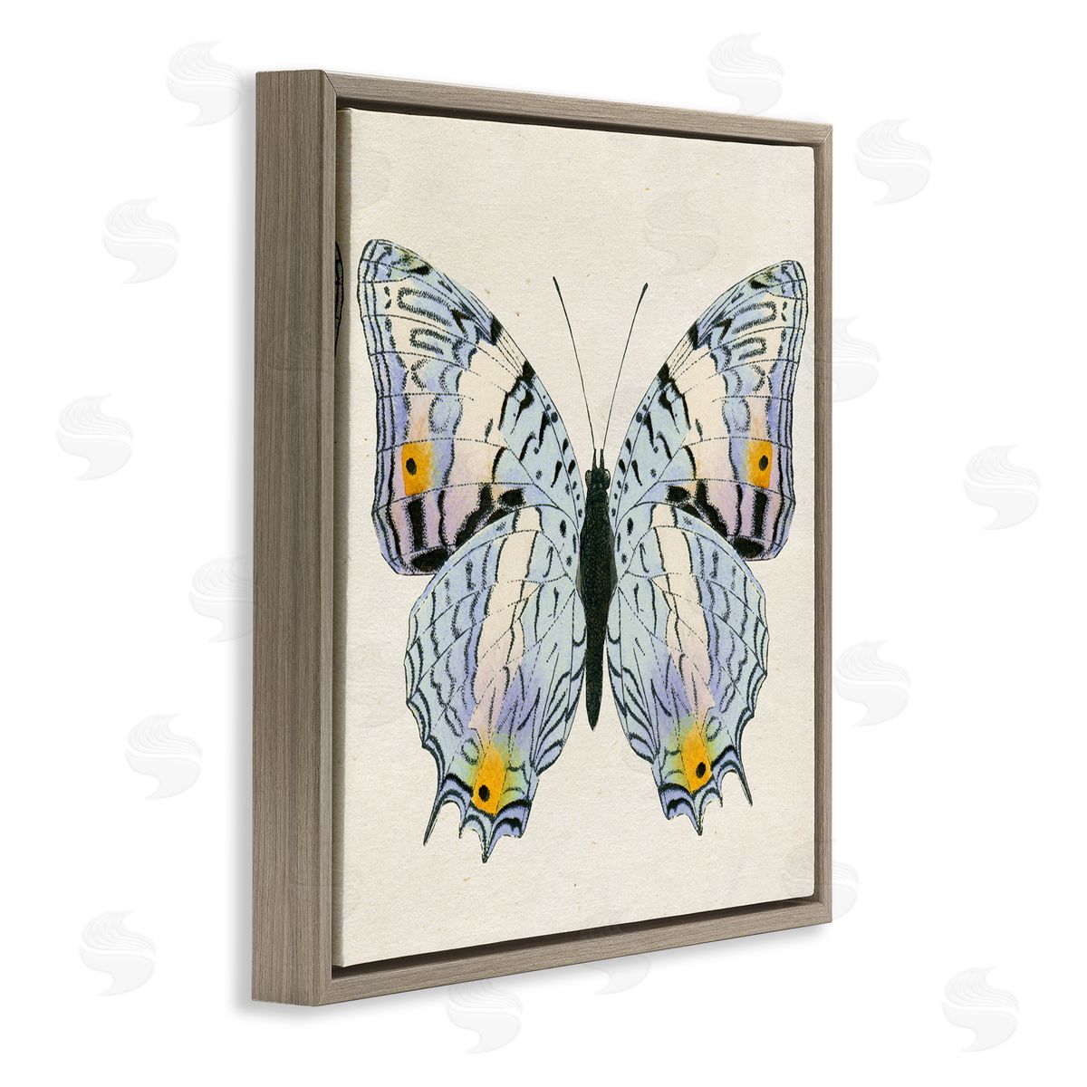 Butterfly with Yellow Details Brown Floating Frame Canvas Wall Art, Home Decor by Susan Arnot
