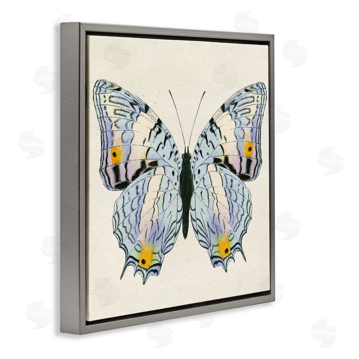 Butterfly with Yellow Details Grey Floating Frame Canvas Wall Art, Home Decor by Susan Arnot