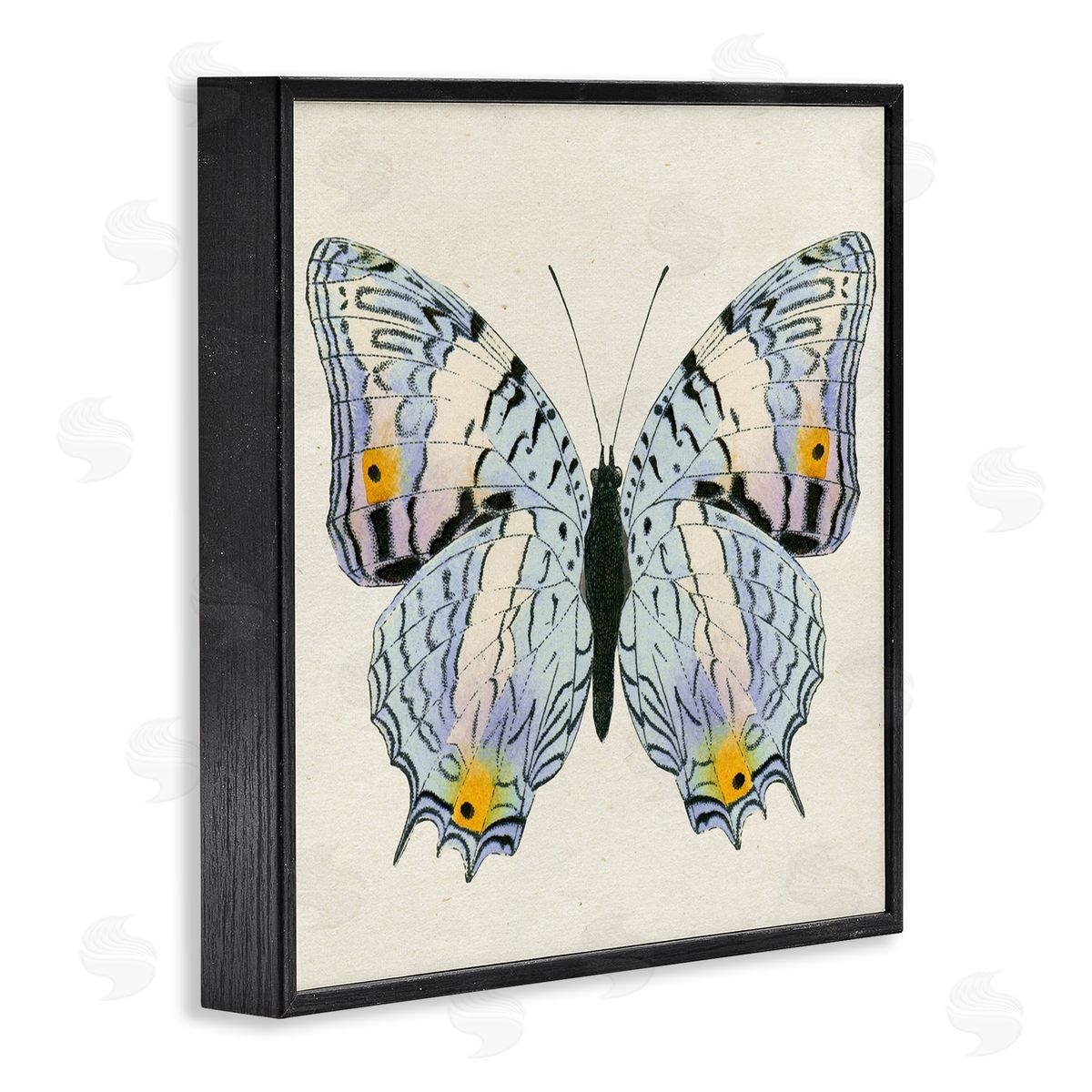 Butterfly with Yellow Details Black Frame Print Wall Art, Home Decor by Susan Arnot
