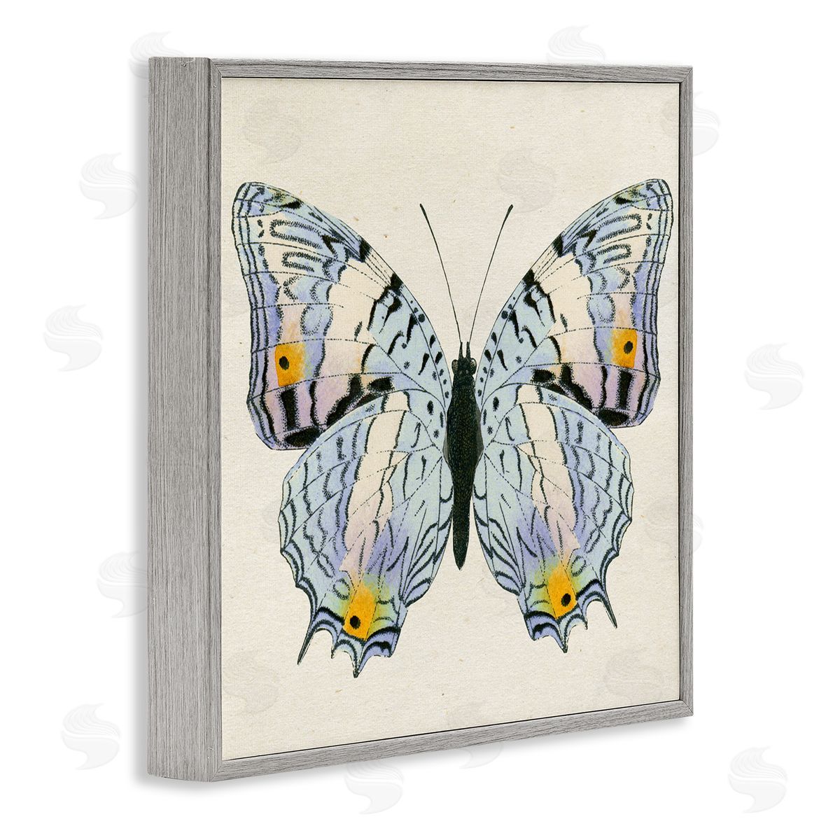 Butterfly with Yellow Details Grey Frame Print Wall Art, Home Decor by Susan Arnot