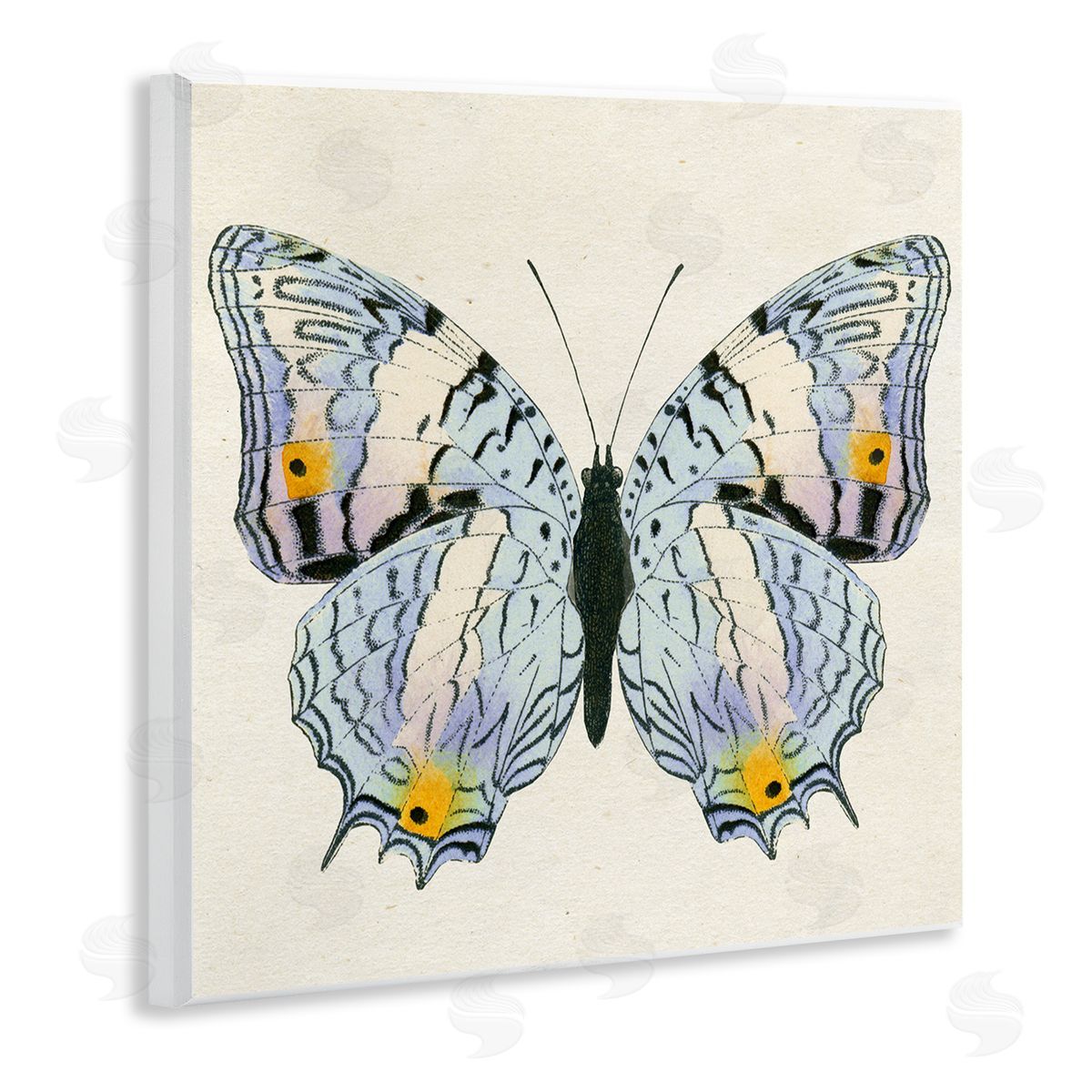 Butterfly with Yellow Details Wood Plaque Wall Art, Home Decor by Susan Arnot