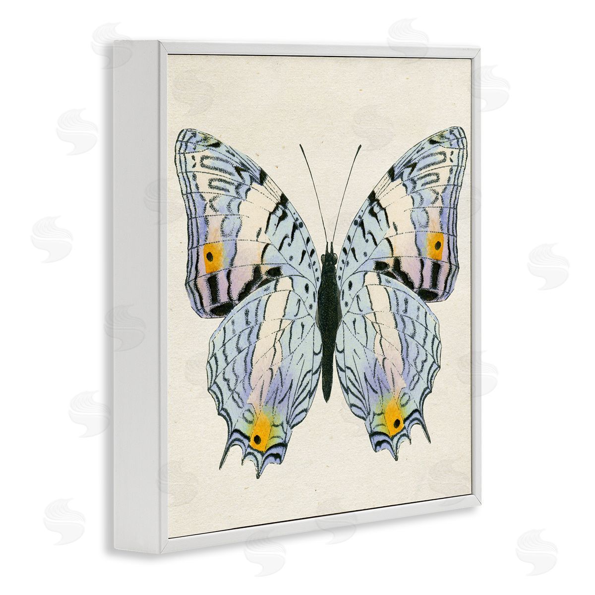 Butterfly with Yellow Details White Frame Print Wall Art, Home Decor by Susan Arnot