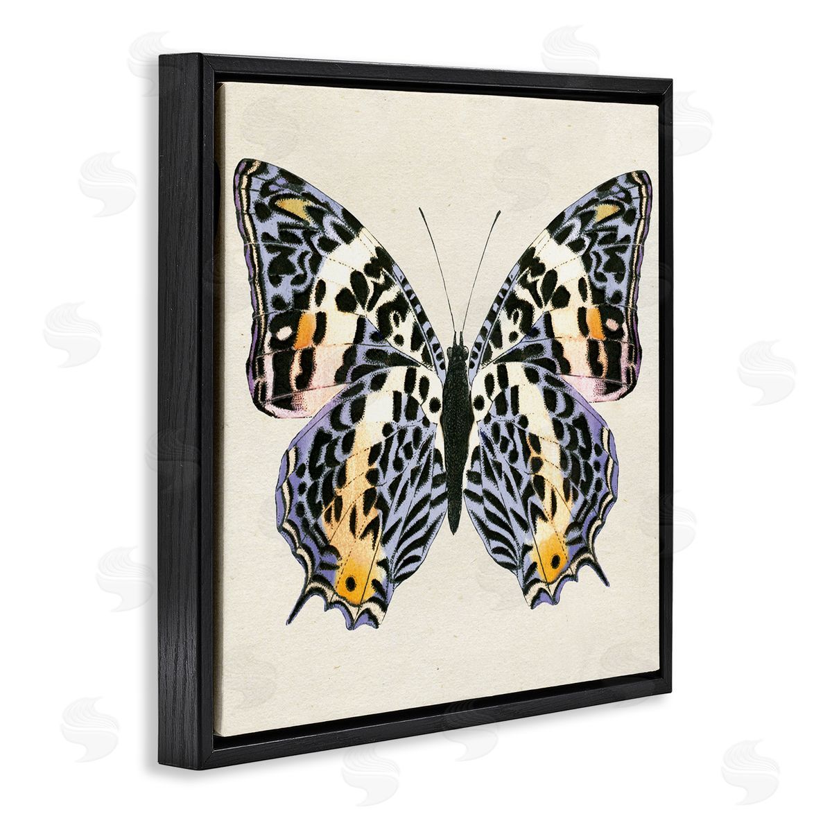 Speckled Butterfly Sketch Black Floating Frame Canvas Wall Art, Home Decor by Susan Arnot