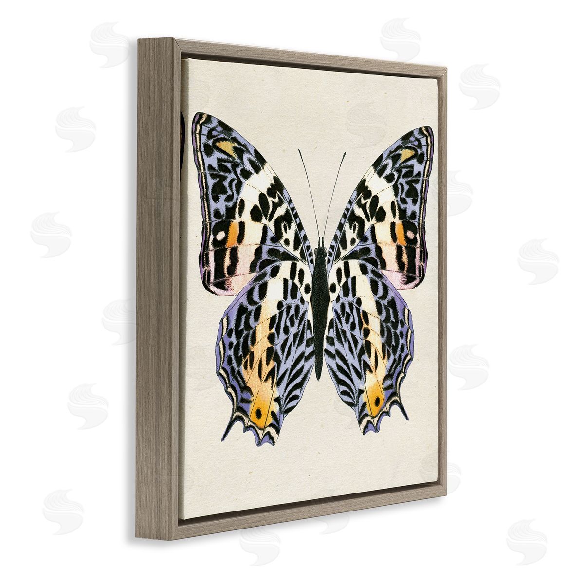 Speckled Butterfly Sketch Brown Floating Frame Canvas Wall Art, Home Decor by Susan Arnot