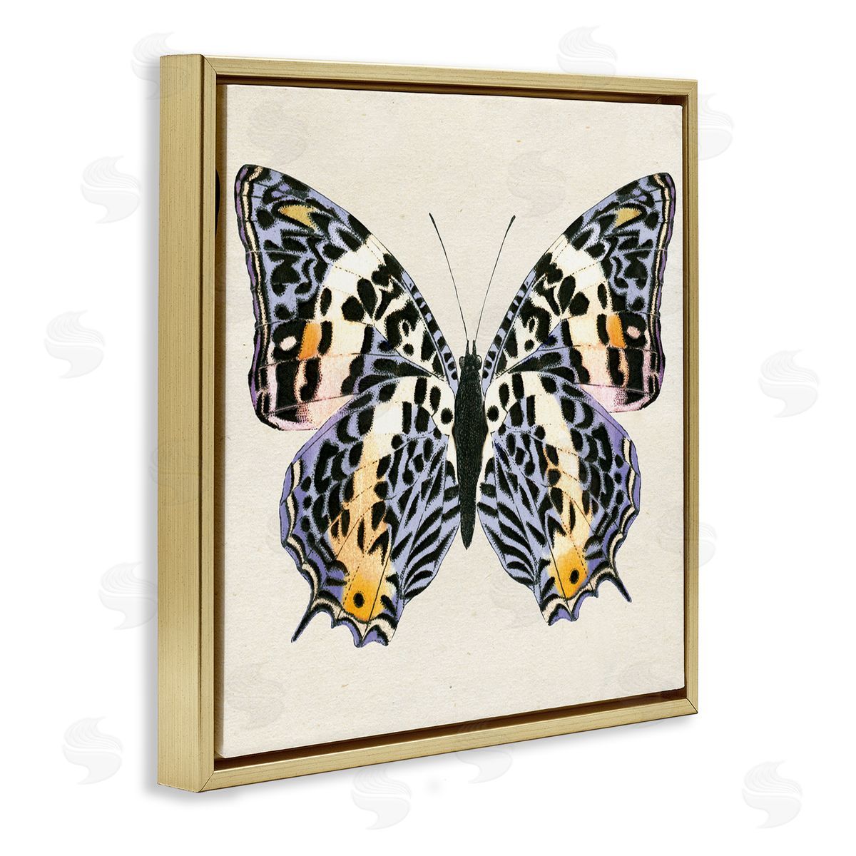 Speckled Butterfly Sketch Gold Floating Frame Canvas Wall Art, Home Decor by Susan Arnot