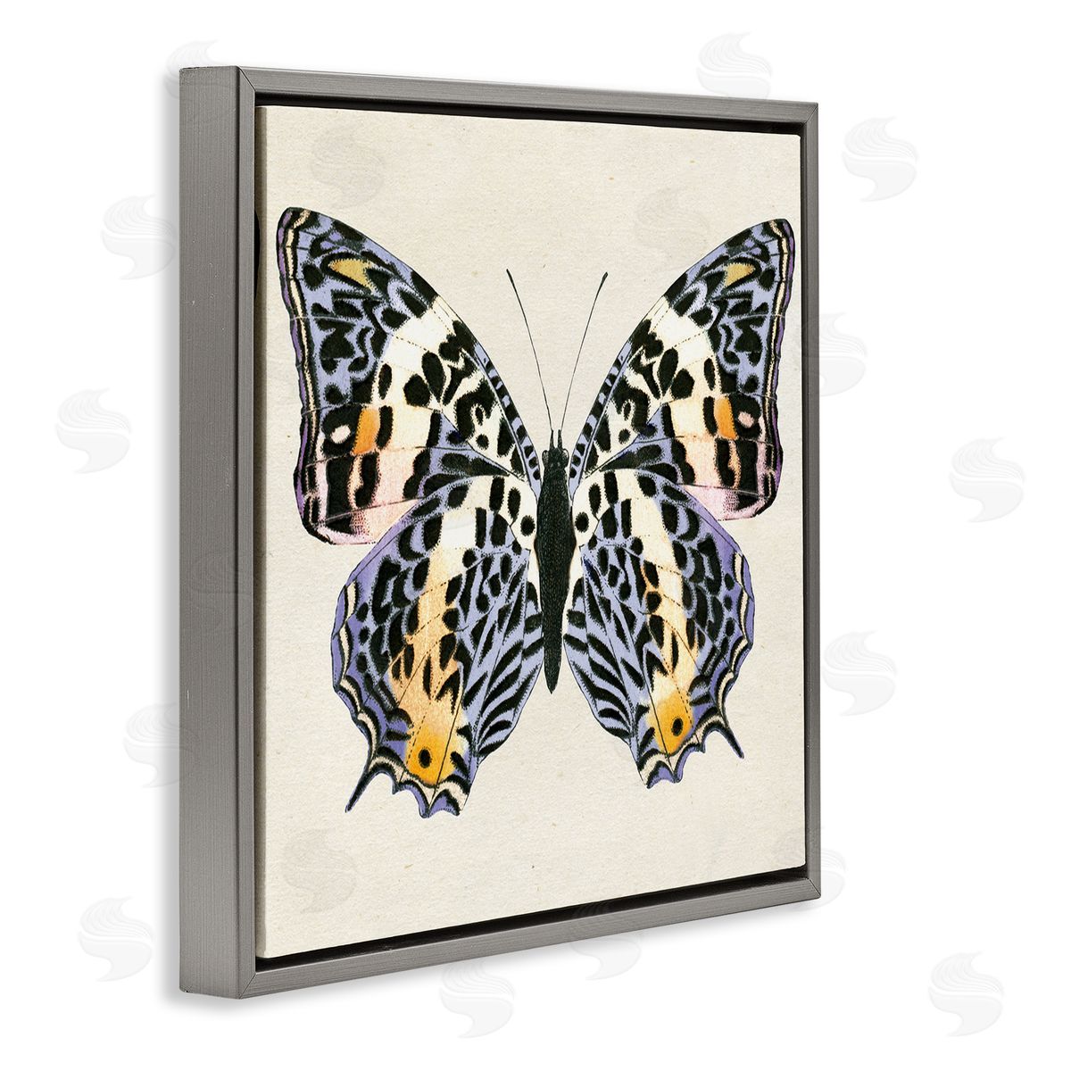 Speckled Butterfly Sketch Grey Floating Frame Canvas Wall Art, Home Decor by Susan Arnot