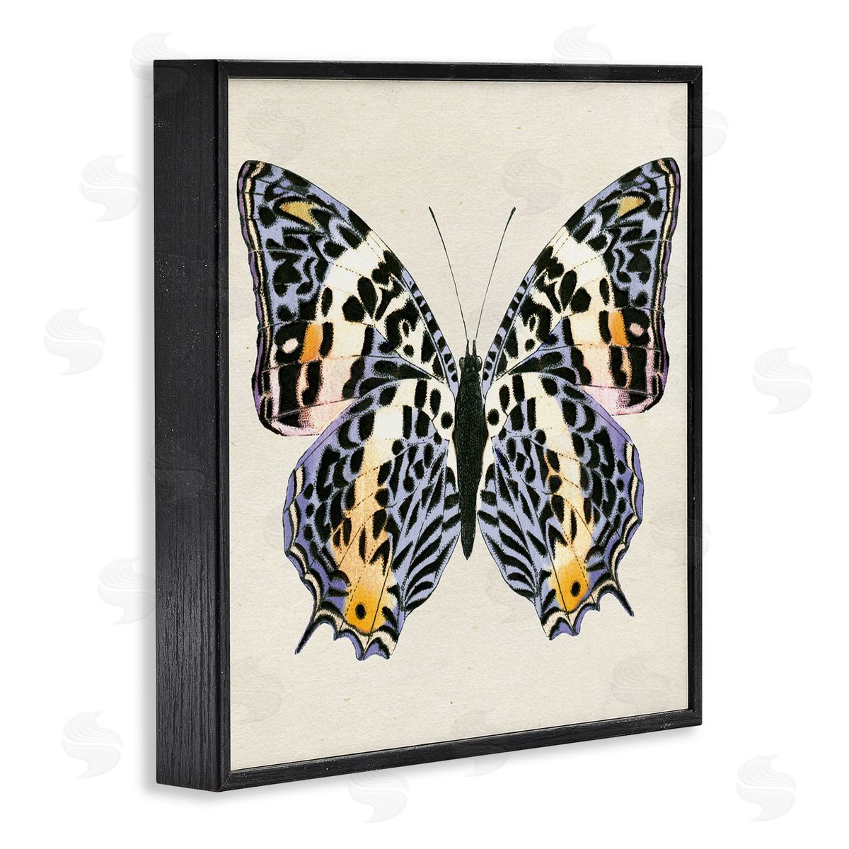 Speckled Butterfly Sketch Black Frame Print Wall Art, Home Decor by Susan Arnot