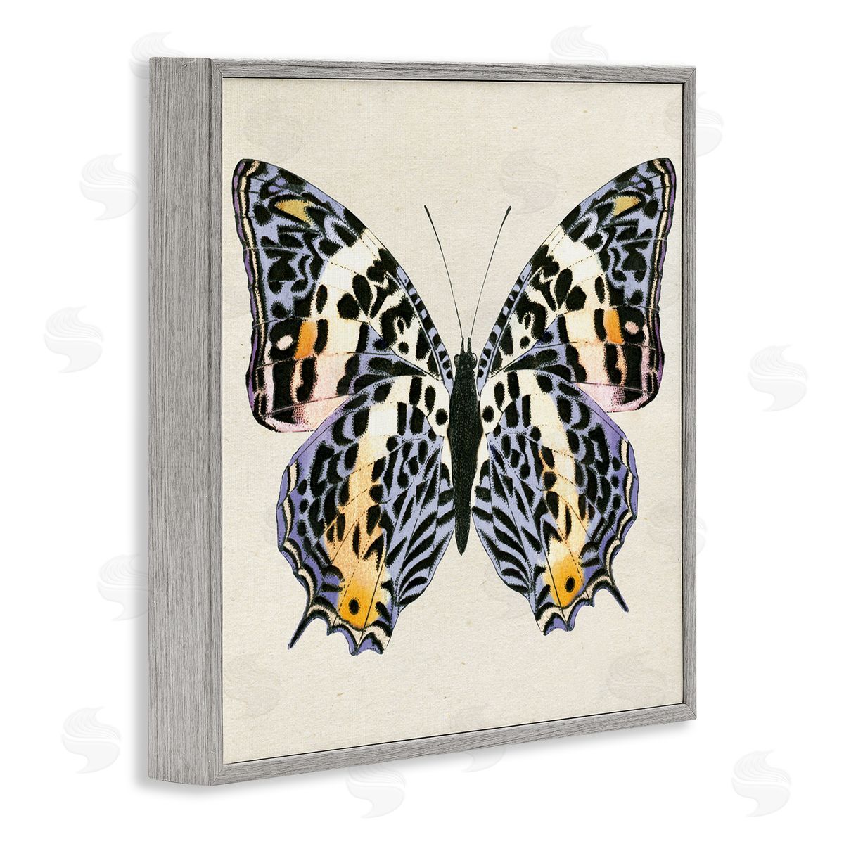 Speckled Butterfly Sketch Grey Frame Print Wall Art, Home Decor by Susan Arnot