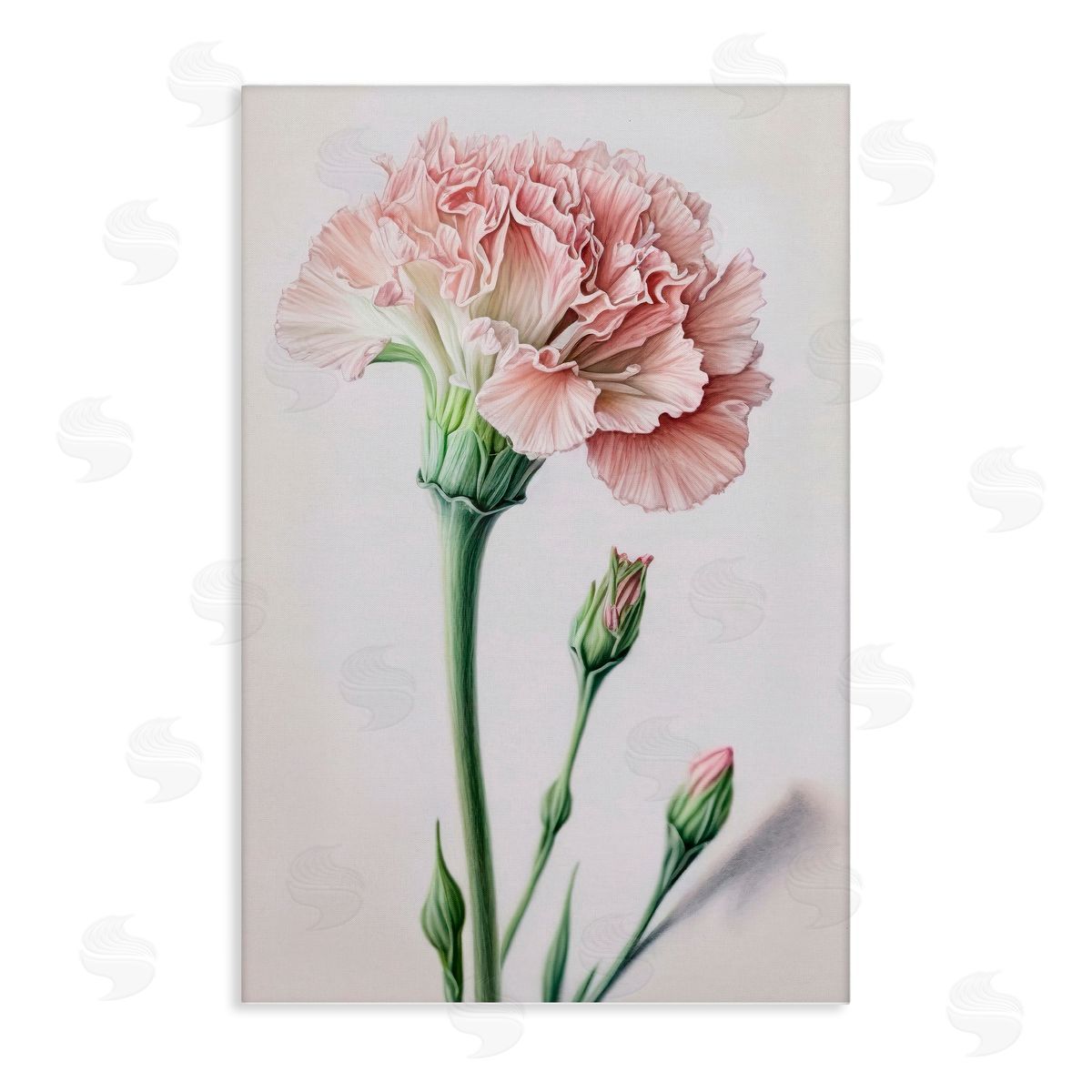 Pale Carnation Budding Canvas Wall Art, Home Decor by Incado