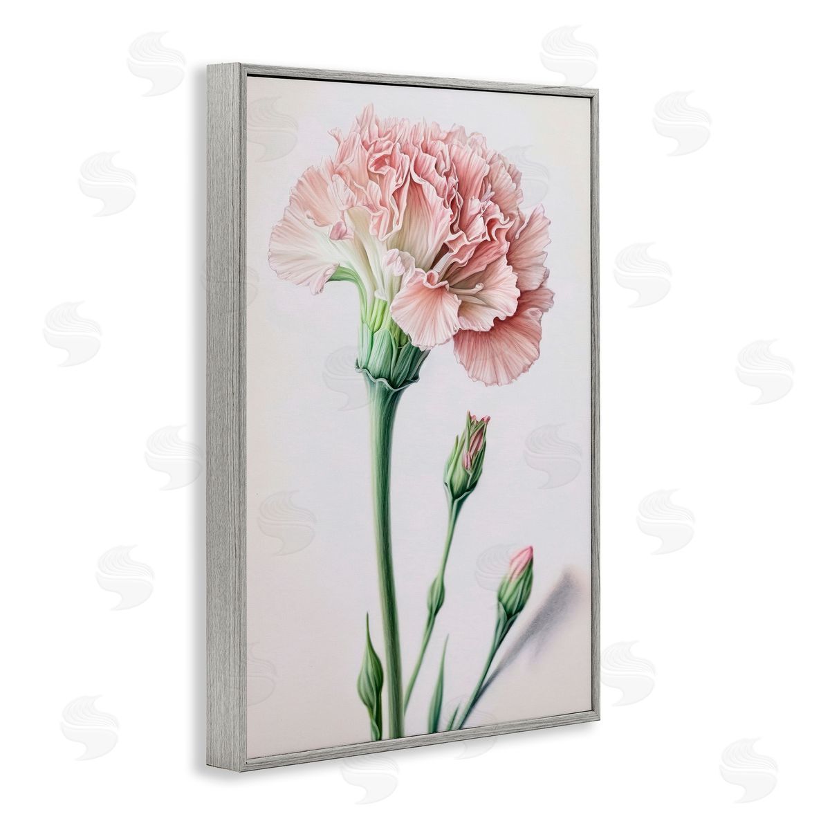 Pale Carnation Budding Grey Frame Print Wall Art, Home Decor by Incado