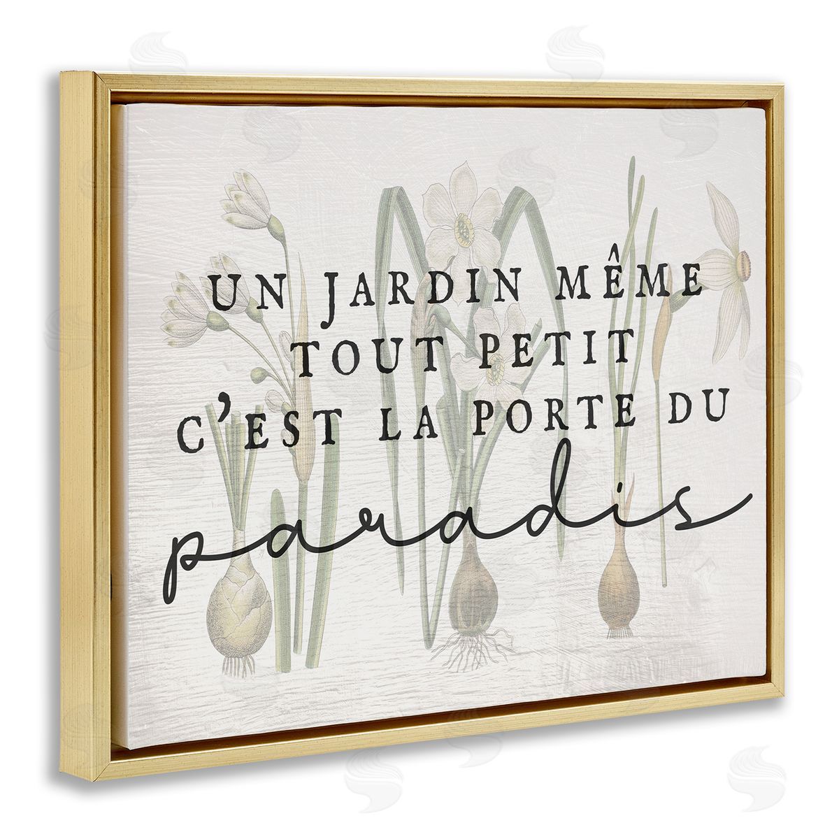 Garden Gateway to Heaven Gold Floating Frame Canvas Wall Art, Home Decor by Stupell Studio