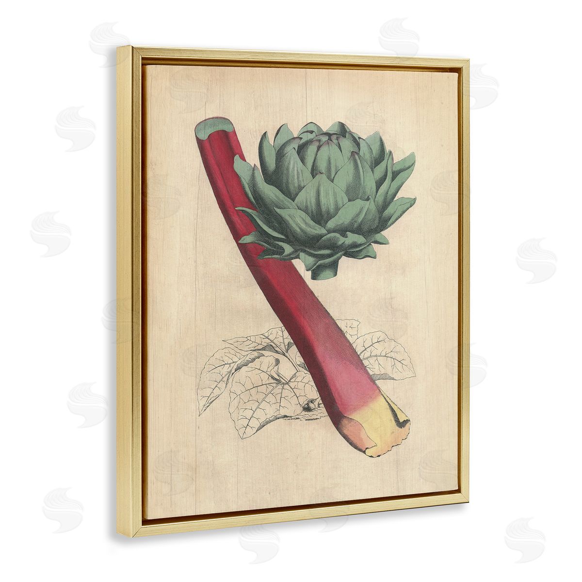 Vintage Vegetable Studies Gold Floating Frame Canvas Wall Art, Home Decor by Stupell Studio