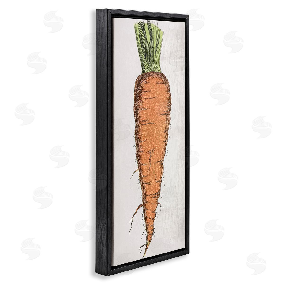Detailed Carrot Study Black Floating Frame Canvas Wall Art, Home Decor by Stupell Studio