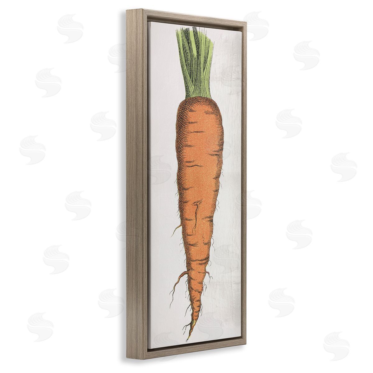 Detailed Carrot Study Brown Floating Frame Canvas Wall Art, Home Decor by Stupell Studio