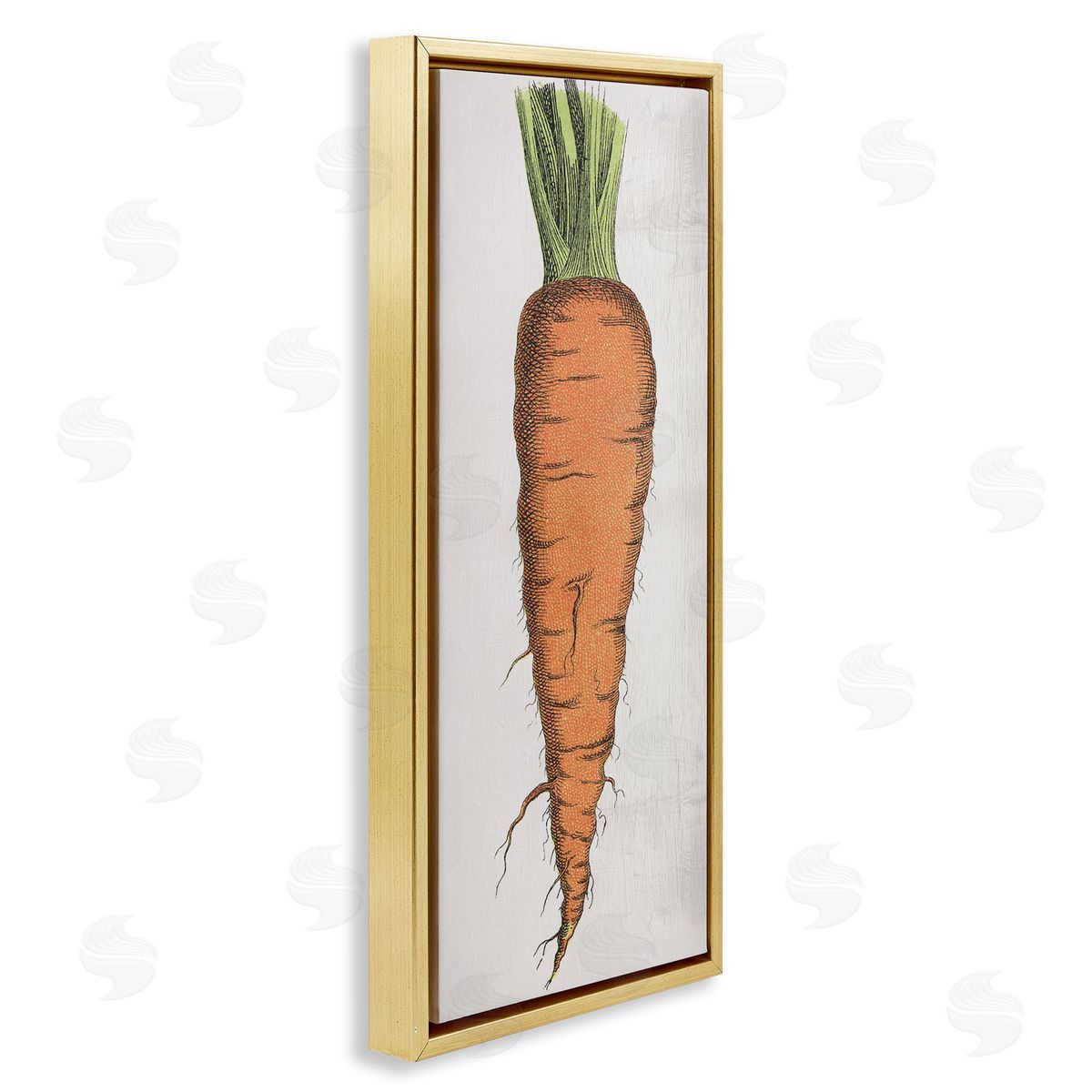 Detailed Carrot Study Gold Floating Frame Canvas Wall Art, Home Decor by Stupell Studio