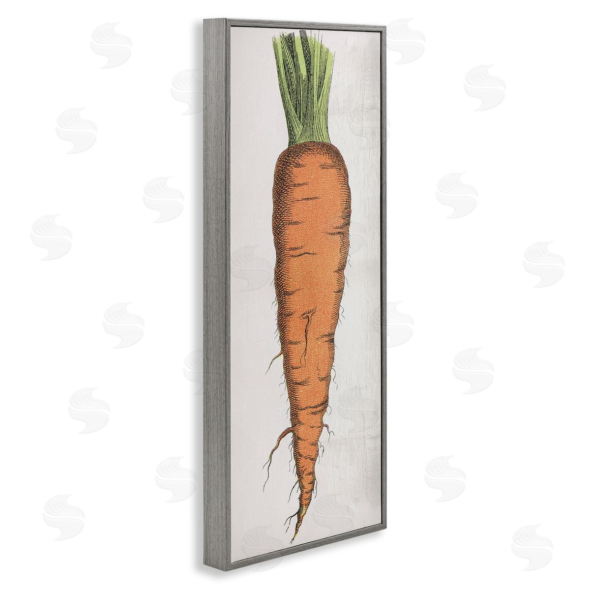 Detailed Carrot Study Grey Frame Print Wall Art, Home Decor by Stupell Studio