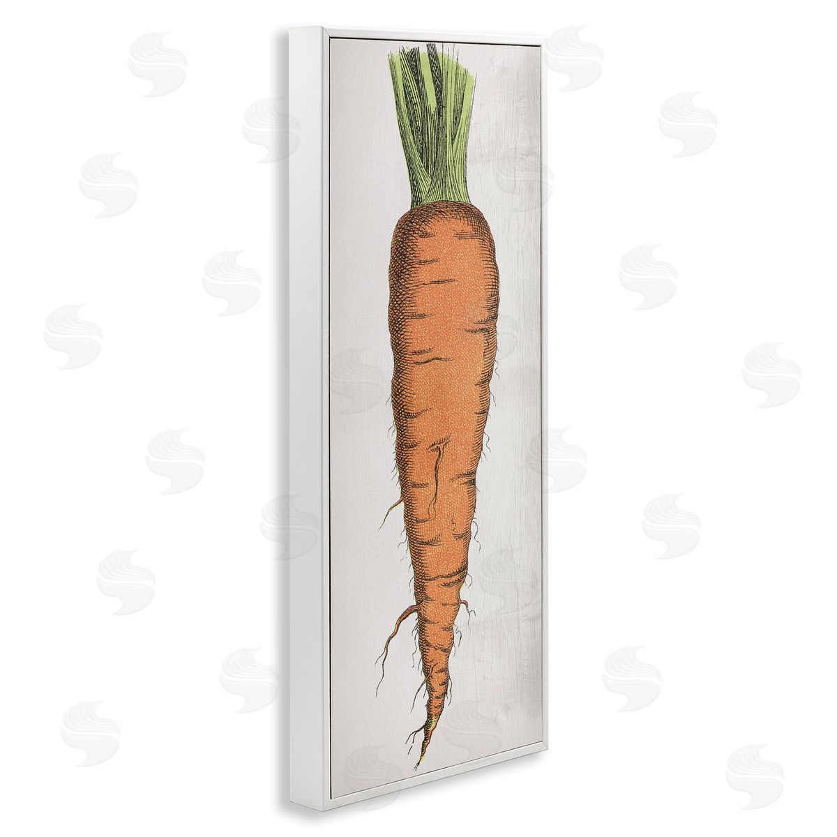 Detailed Carrot Study White Frame Print Wall Art, Home Decor by Stupell Studio