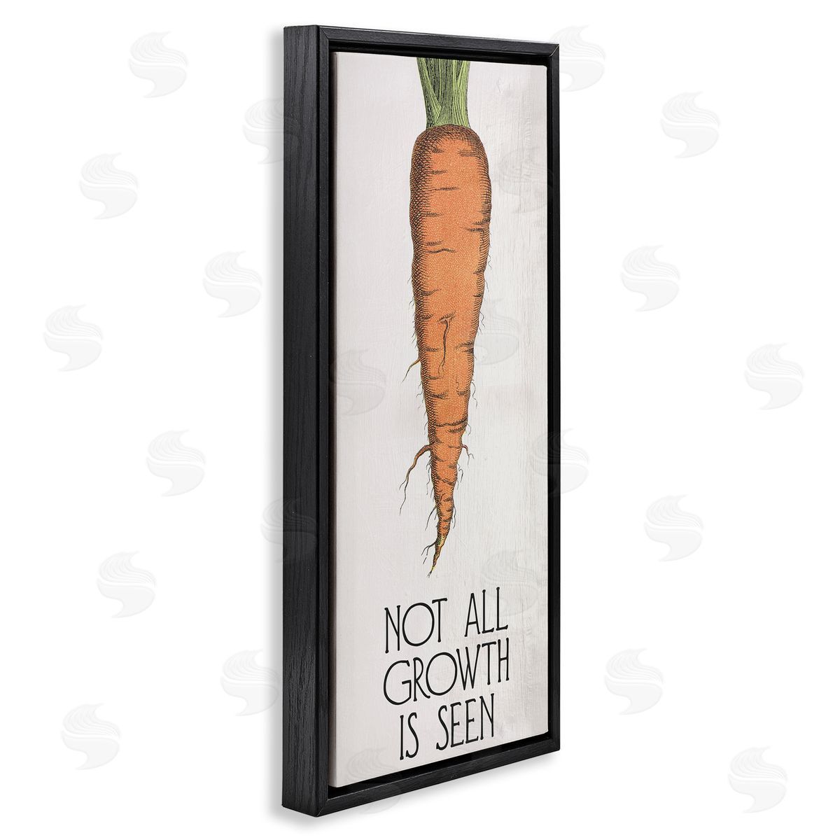 Carrot & Inspiring Growth Black Floating Frame Canvas Wall Art, Home Decor by Stupell Studio