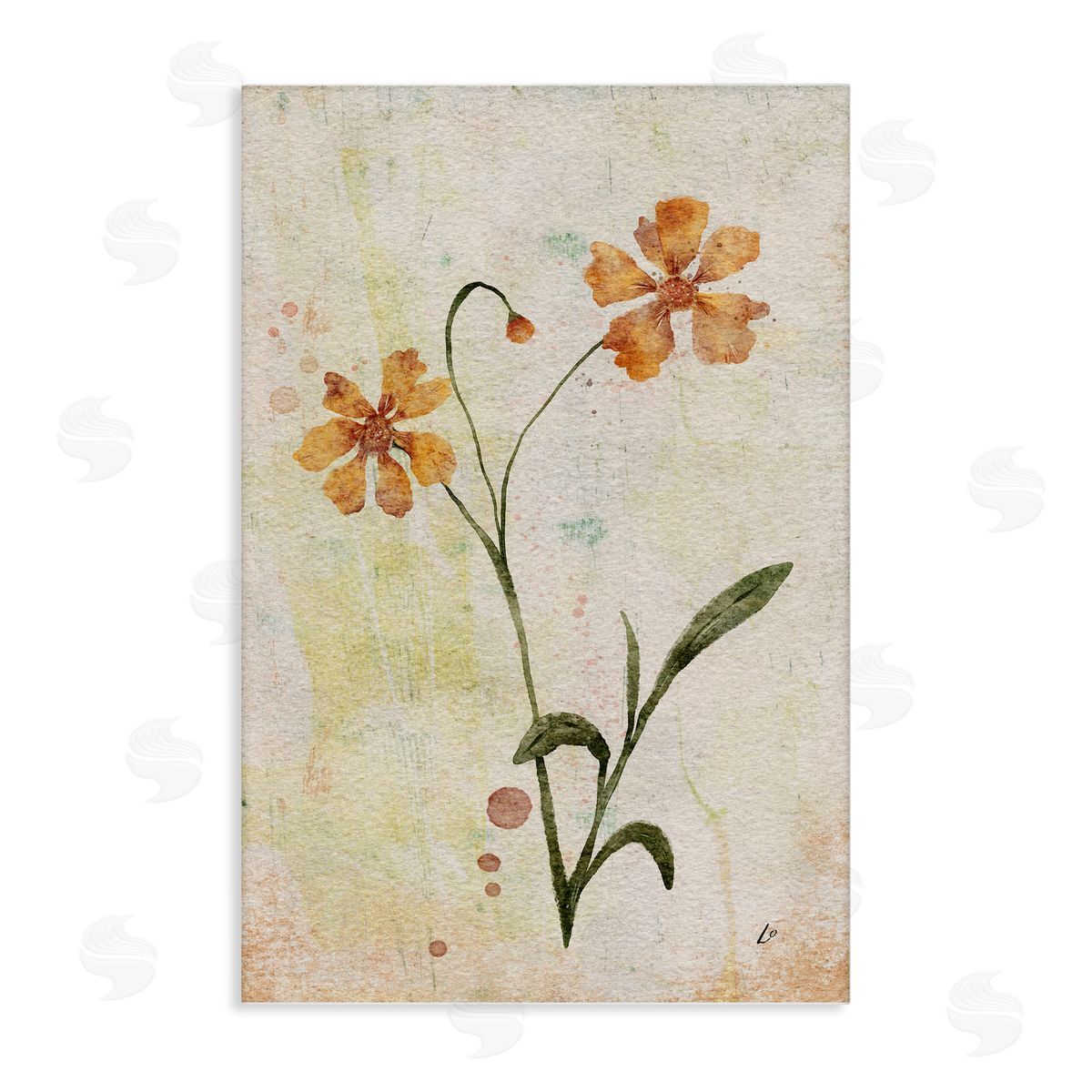 Ceropsis Flower Sprig Canvas Wall Art, Home Decor by Lydia Orange