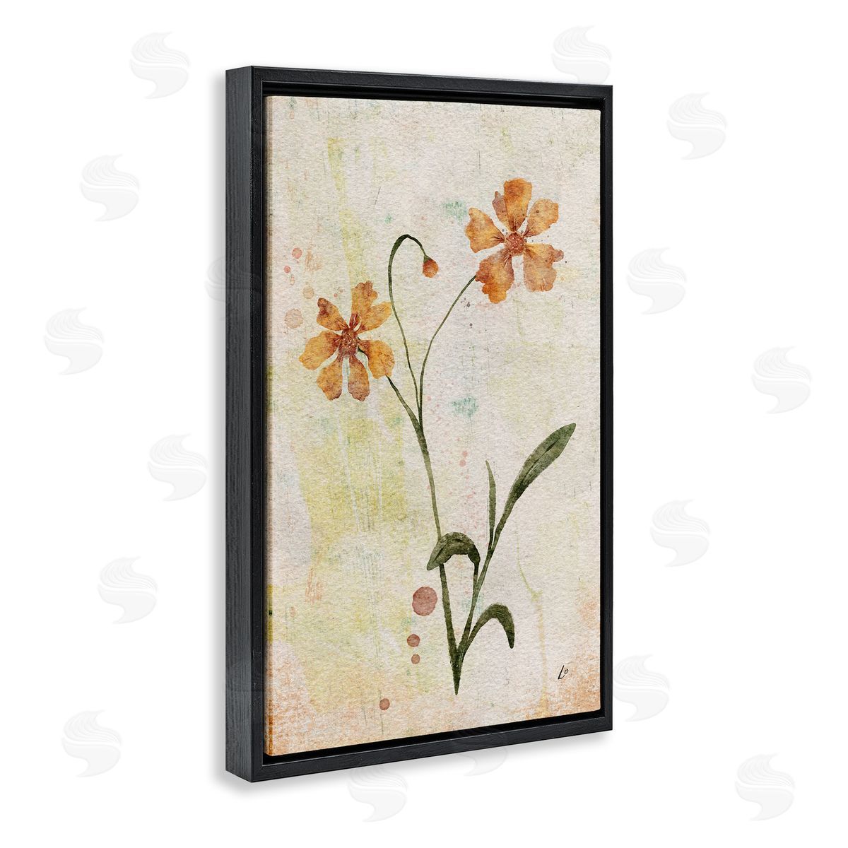 Ceropsis Flower Sprig Black Floating Frame Canvas Wall Art, Home Decor by Lydia Orange