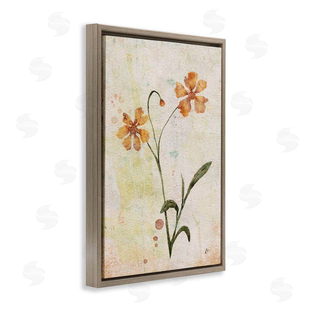 Ceropsis Flower Sprig Brown Floating Frame Canvas Wall Art, Home Decor by Lydia Orange