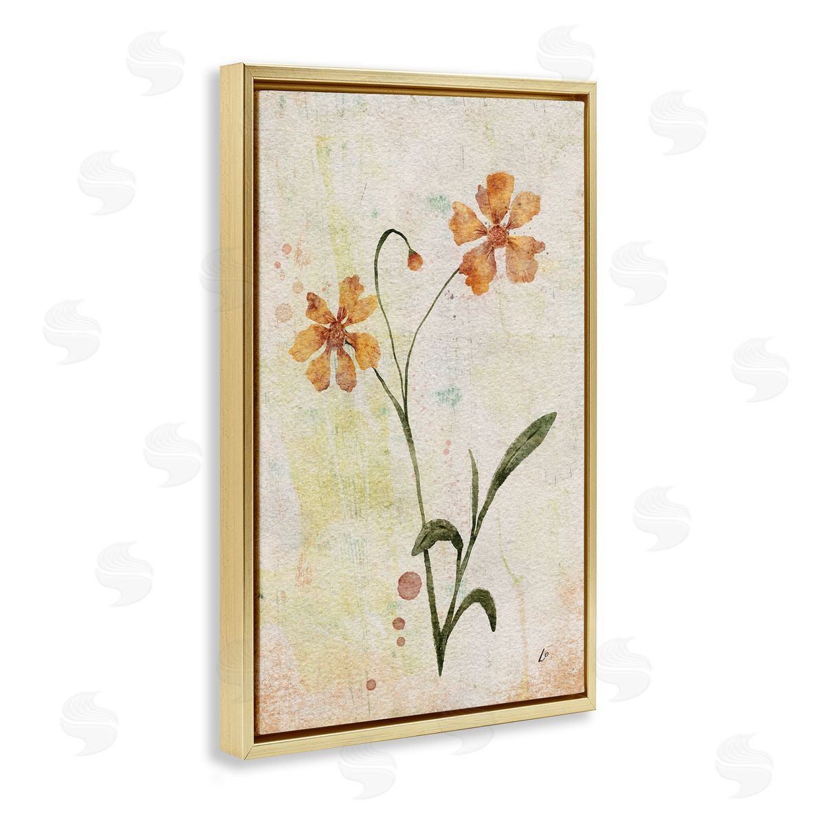 Ceropsis Flower Sprig Gold Floating Frame Canvas Wall Art, Home Decor by Lydia Orange