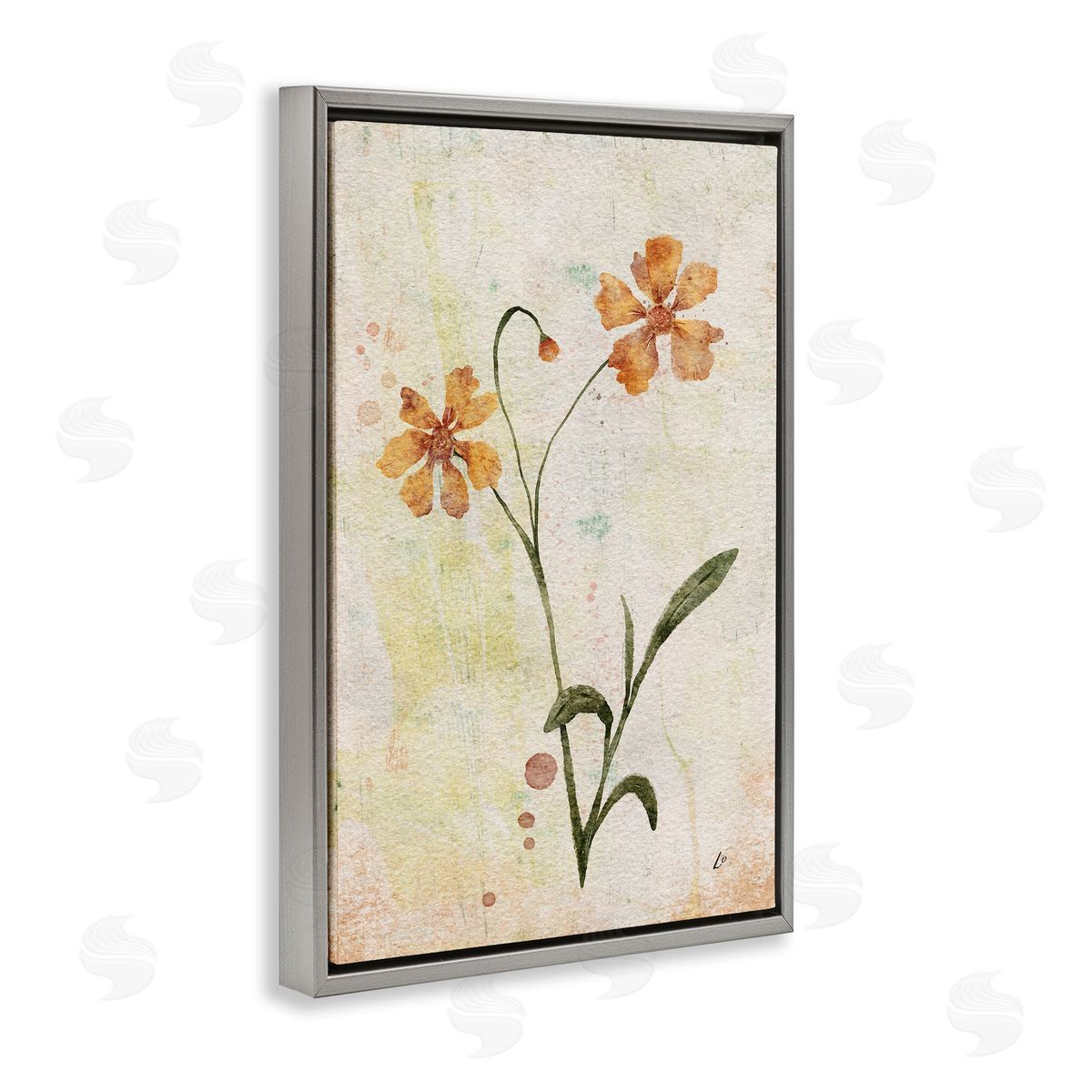 Ceropsis Flower Sprig Grey Floating Frame Canvas Wall Art, Home Decor by Lydia Orange