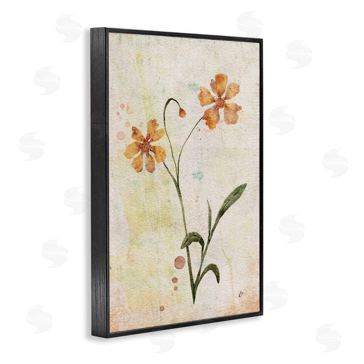 Ceropsis Flower Sprig Black Frame Print Wall Art, Home Decor by Lydia Orange