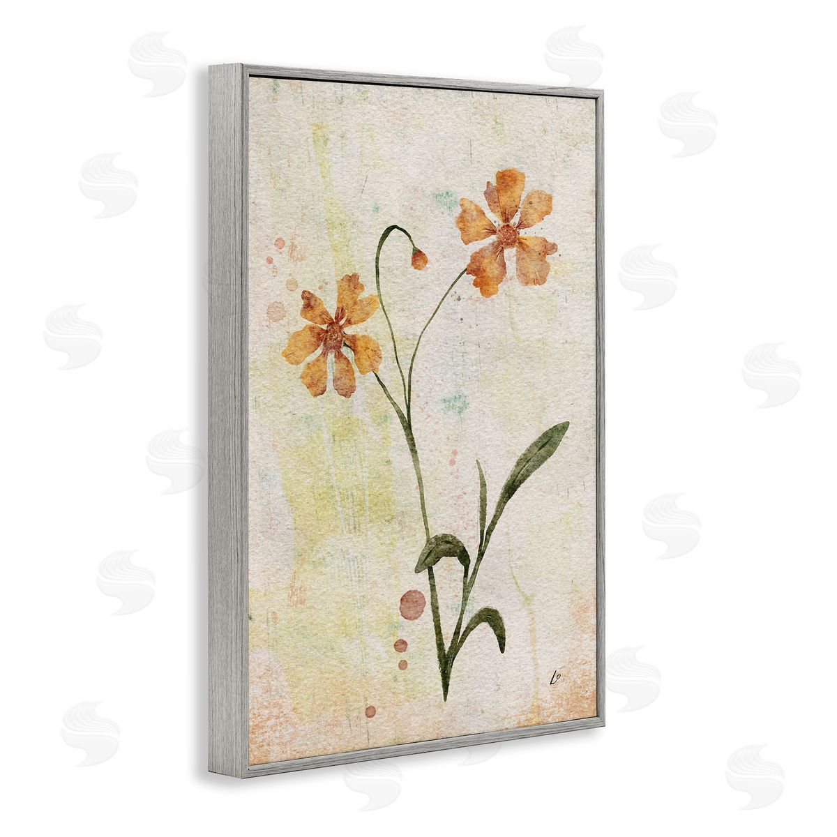Ceropsis Flower Sprig Grey Frame Print Wall Art, Home Decor by Lydia Orange