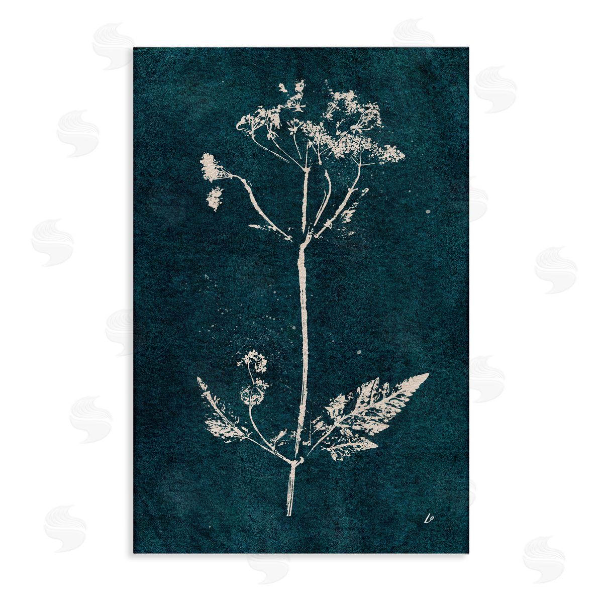 Cow Parsley Stem Canvas Wall Art, Home Decor by Lydia Orange
