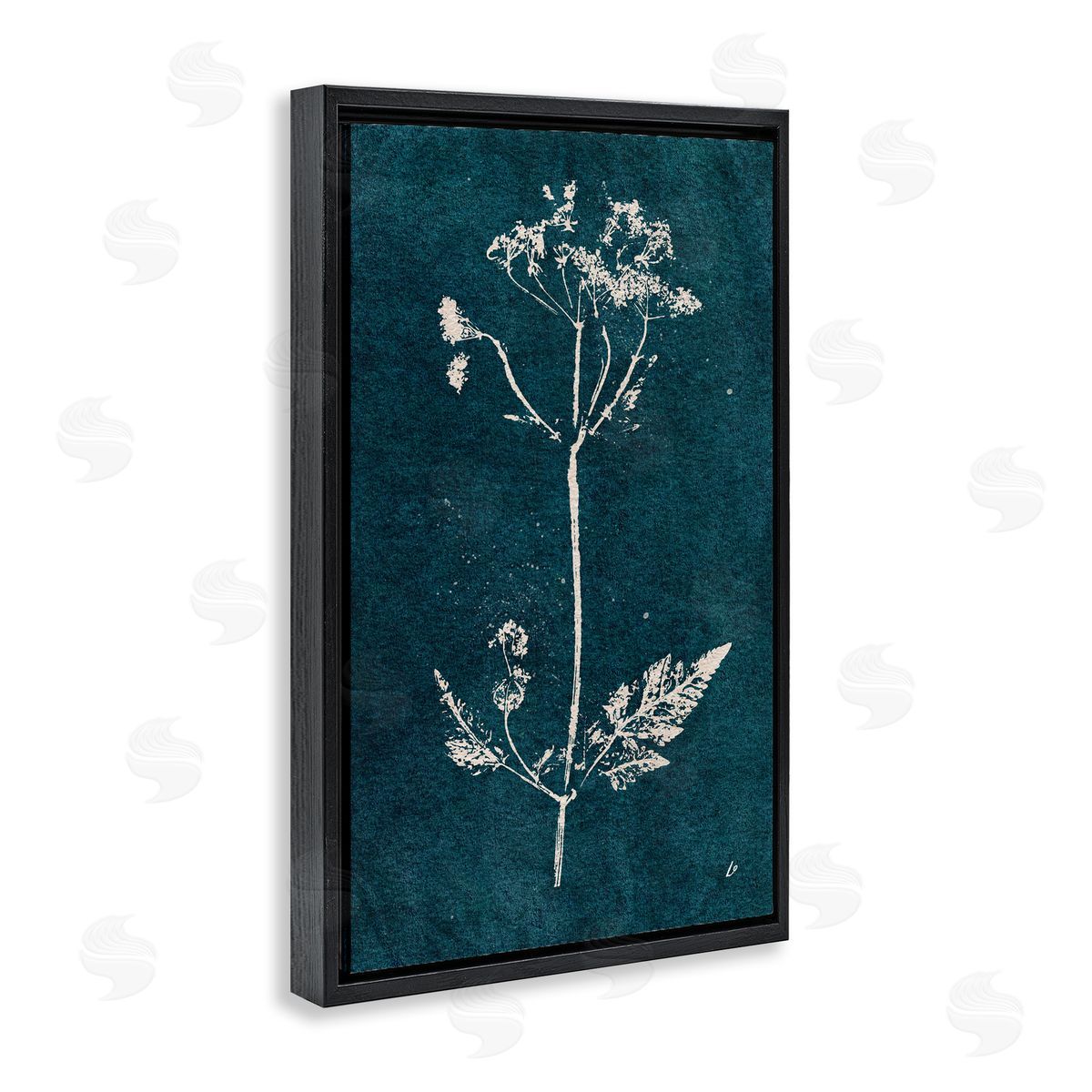 Cow Parsley Stem Black Floating Frame Canvas Wall Art, Home Decor by Lydia Orange