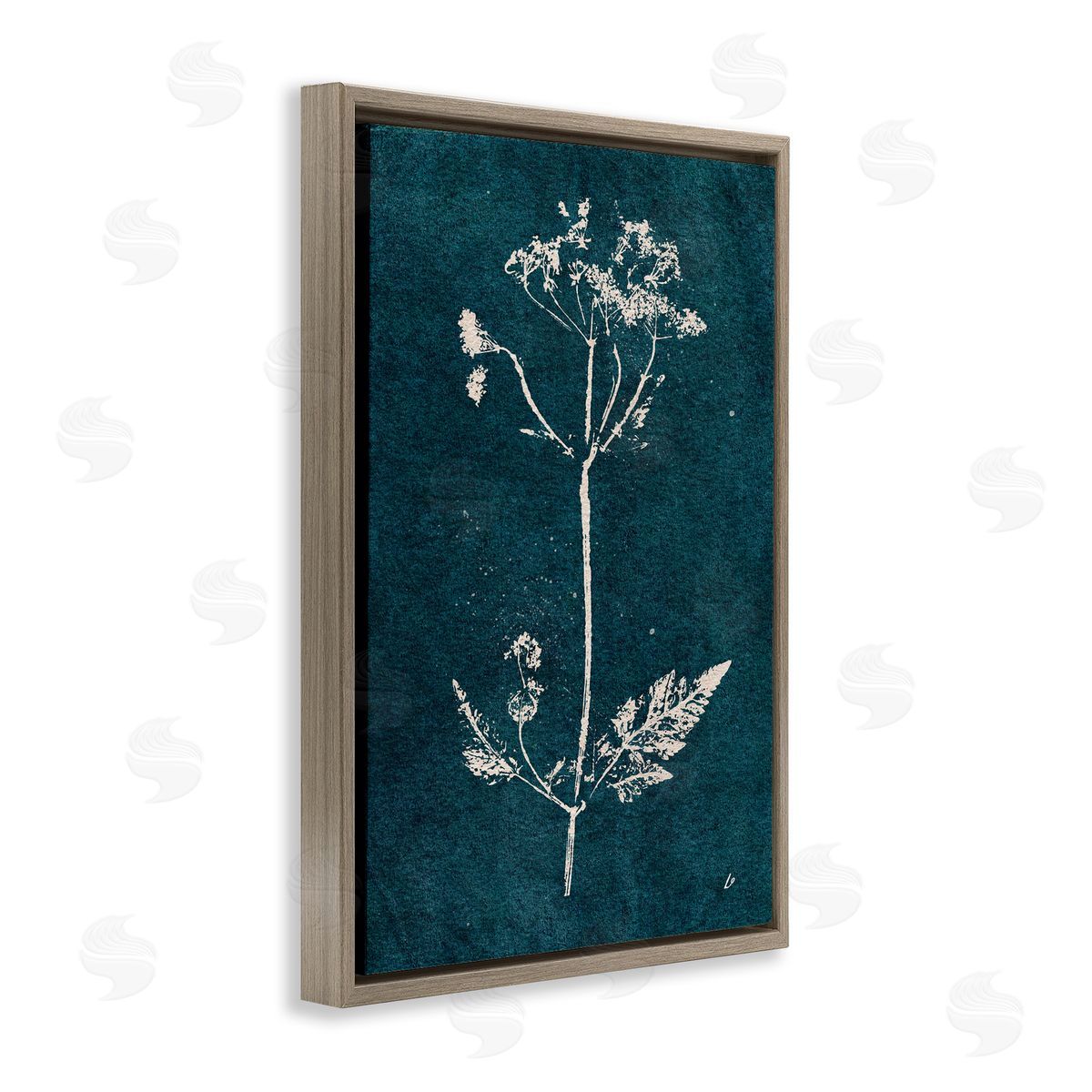 Cow Parsley Stem Brown Floating Frame Canvas Wall Art, Home Decor by Lydia Orange