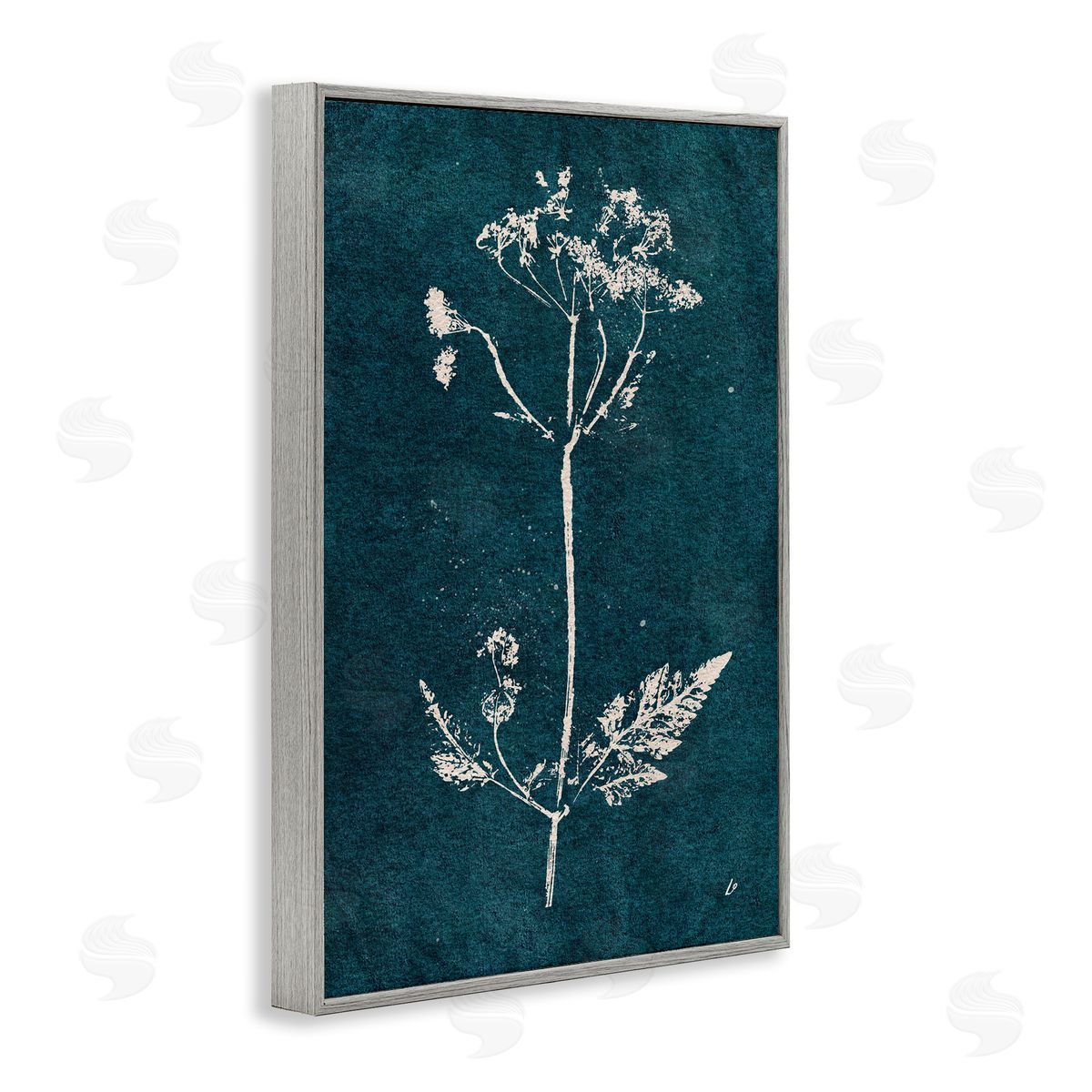 Cow Parsley Stem Grey Frame Print Wall Art, Home Decor by Lydia Orange