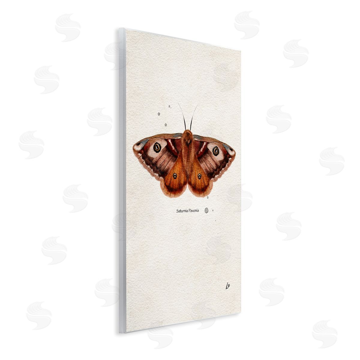 Scientific Orange Moth Wood Plaque Wall Art, Home Decor by Lydia Orange