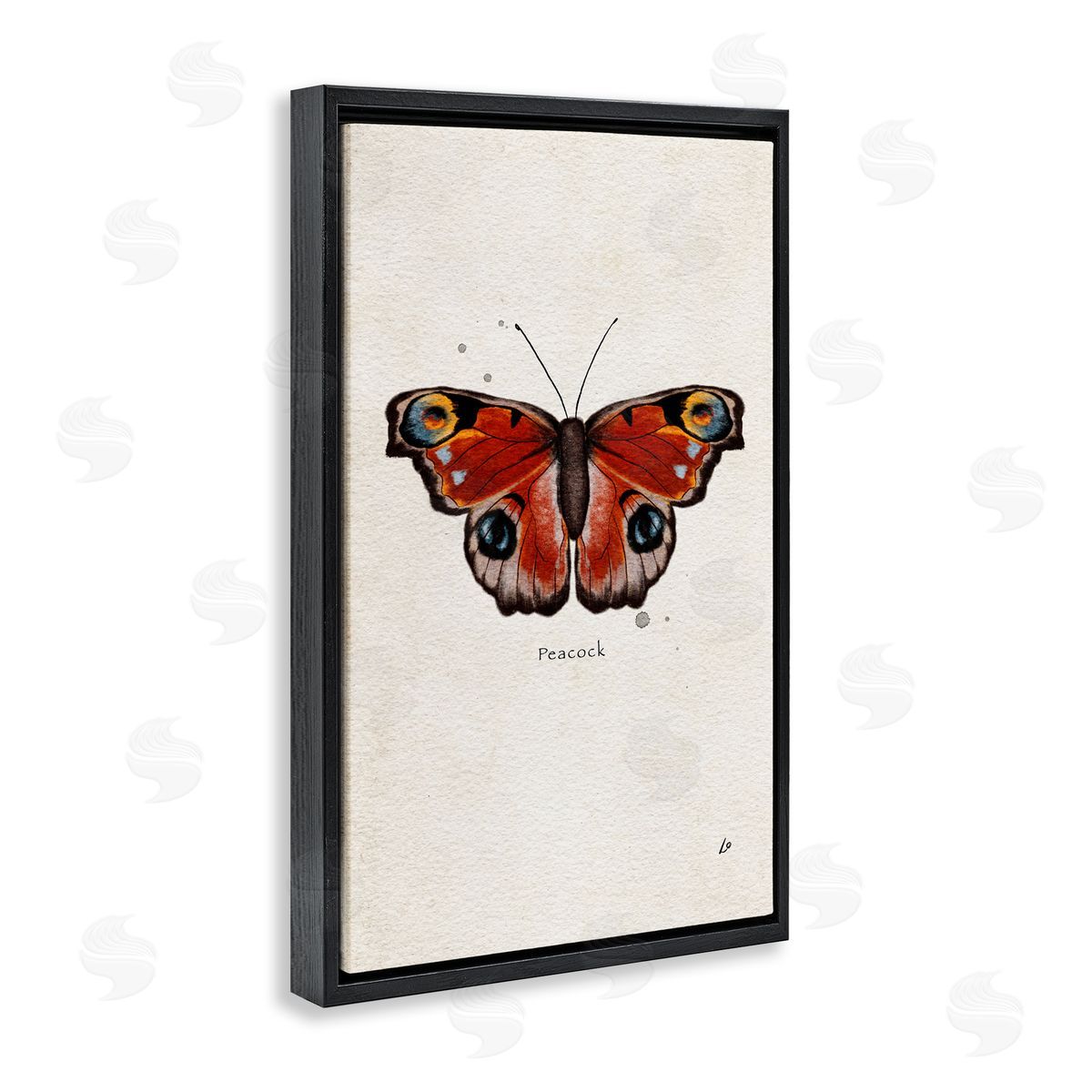 Peacock Butterfly Study Black Floating Frame Canvas Wall Art, Home Decor by Lydia Orange
