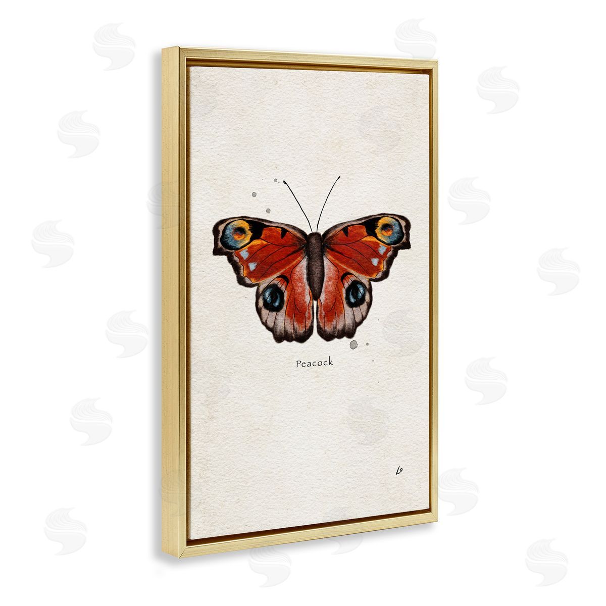 Peacock Butterfly Study Gold Floating Frame Canvas Wall Art, Home Decor by Lydia Orange