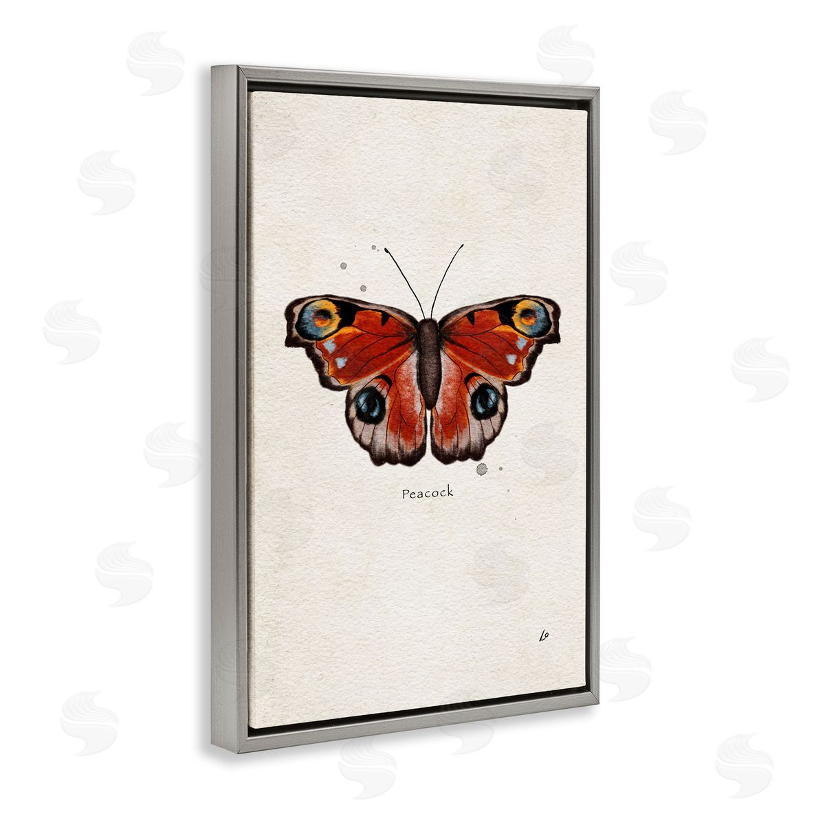 Peacock Butterfly Study Grey Floating Frame Canvas Wall Art, Home Decor by Lydia Orange