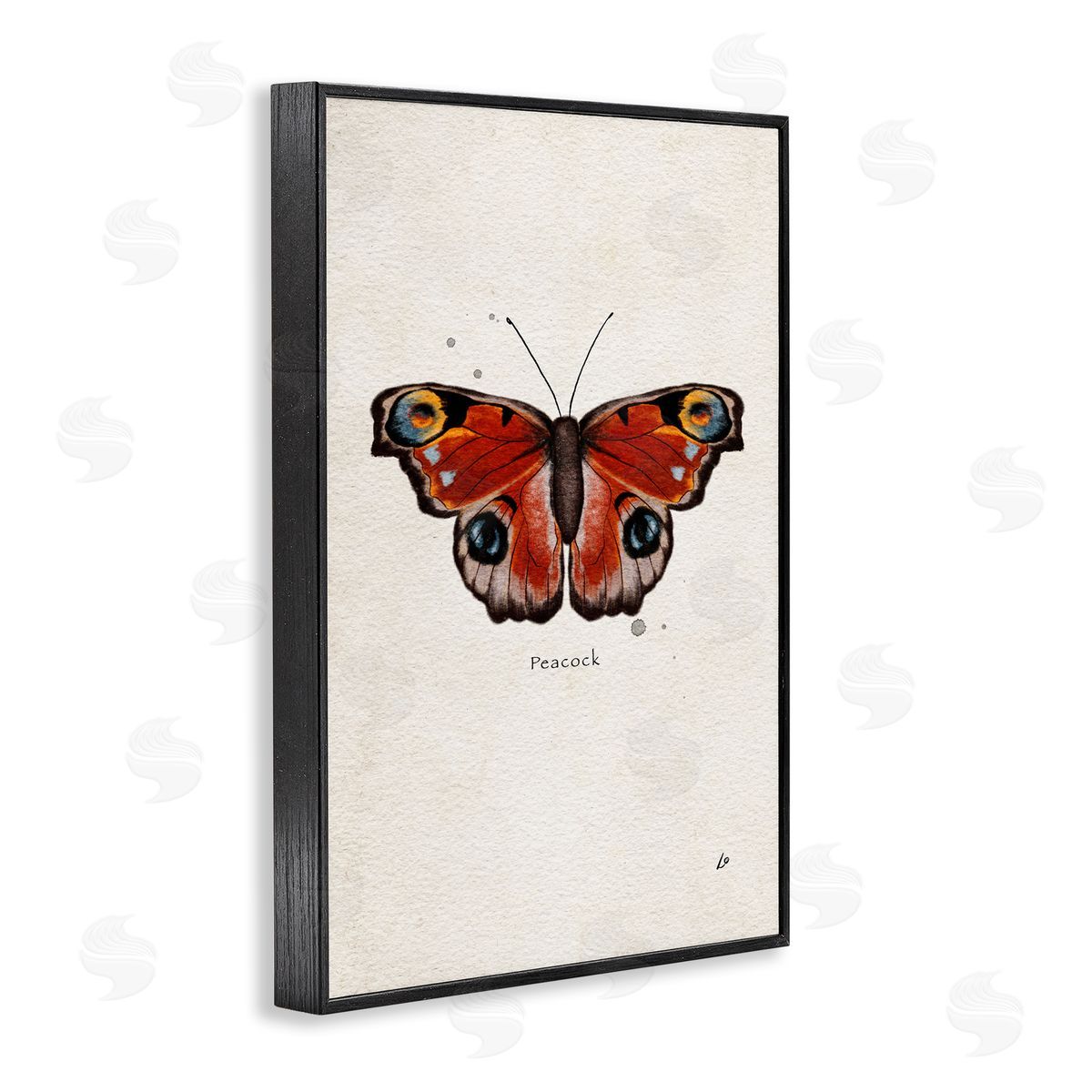 Peacock Butterfly Study Black Frame Print Wall Art, Home Decor by Lydia Orange